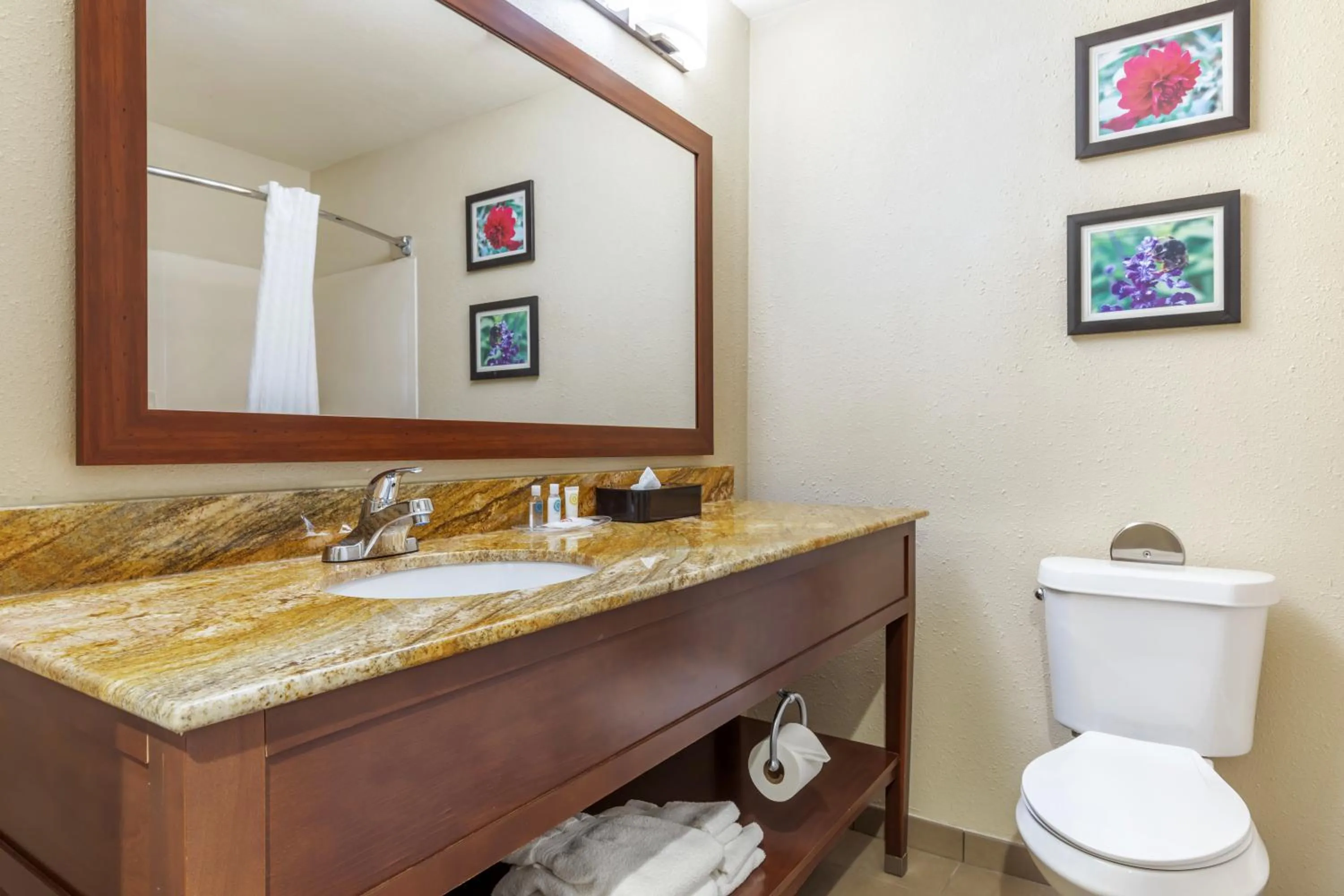 Toilet in Comfort Inn & Suites Temple - Medical Center