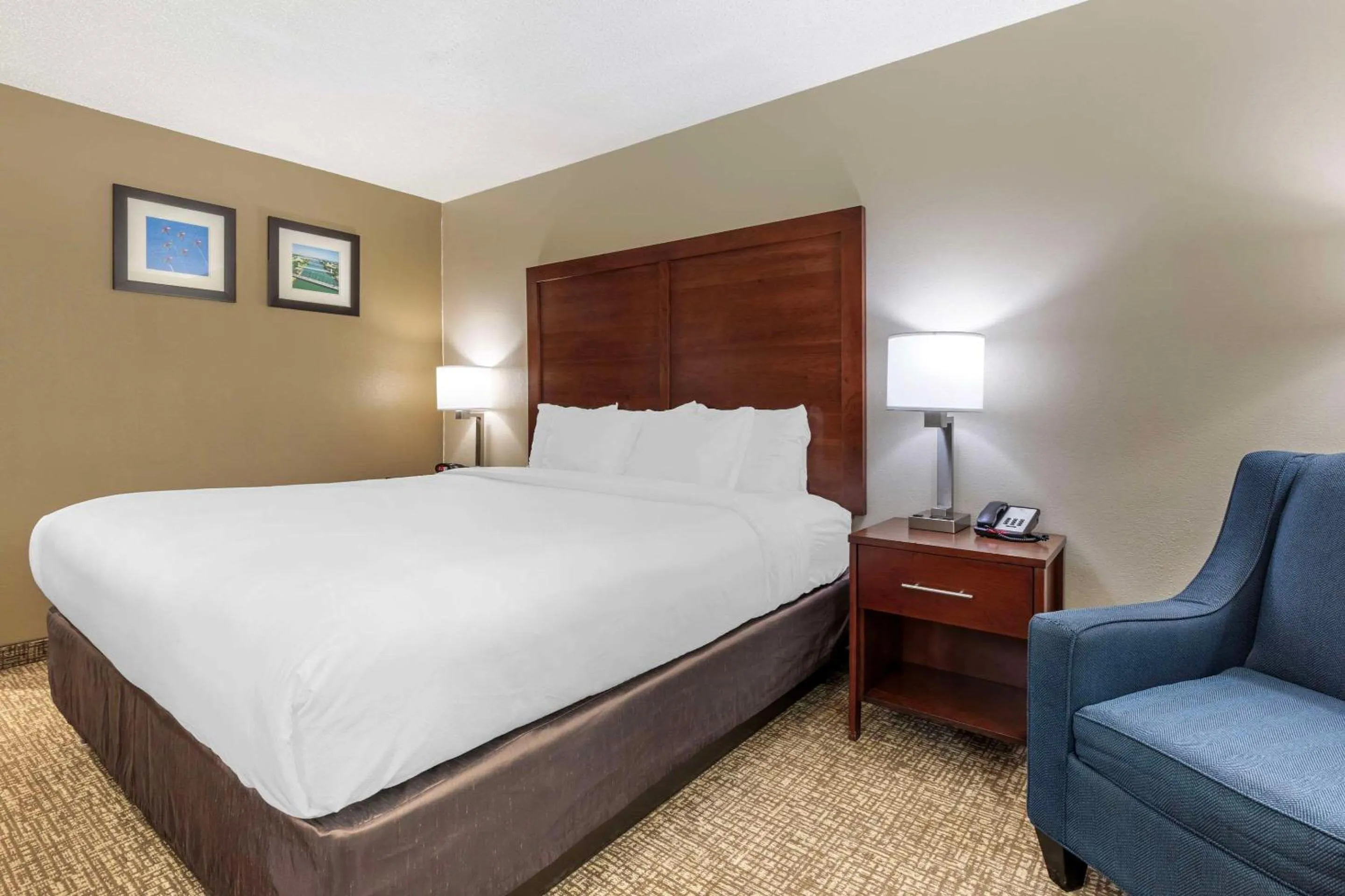 Bedroom, Bed in Comfort Inn & Suites Temple - Medical Center