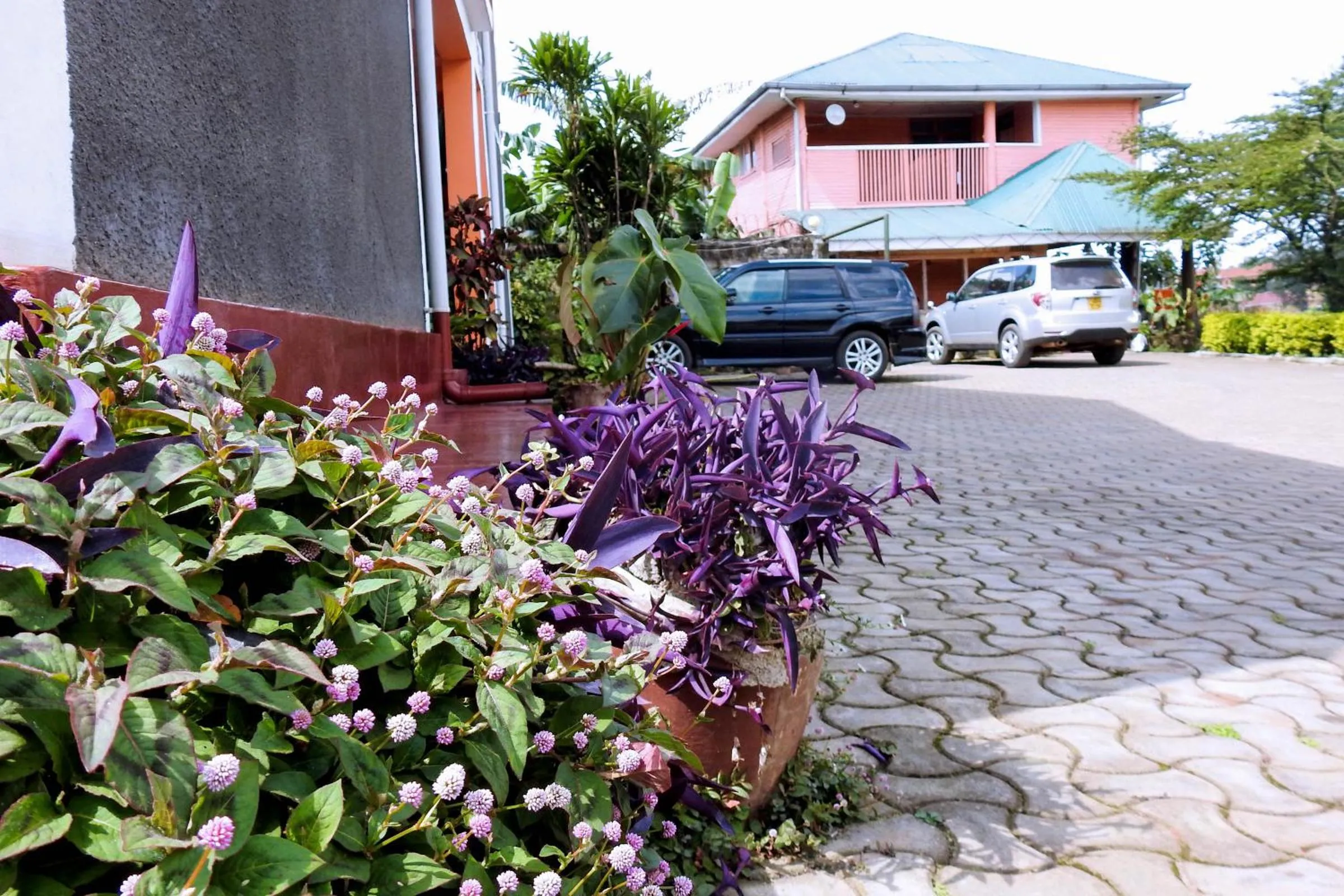 Garden in Westend Motel