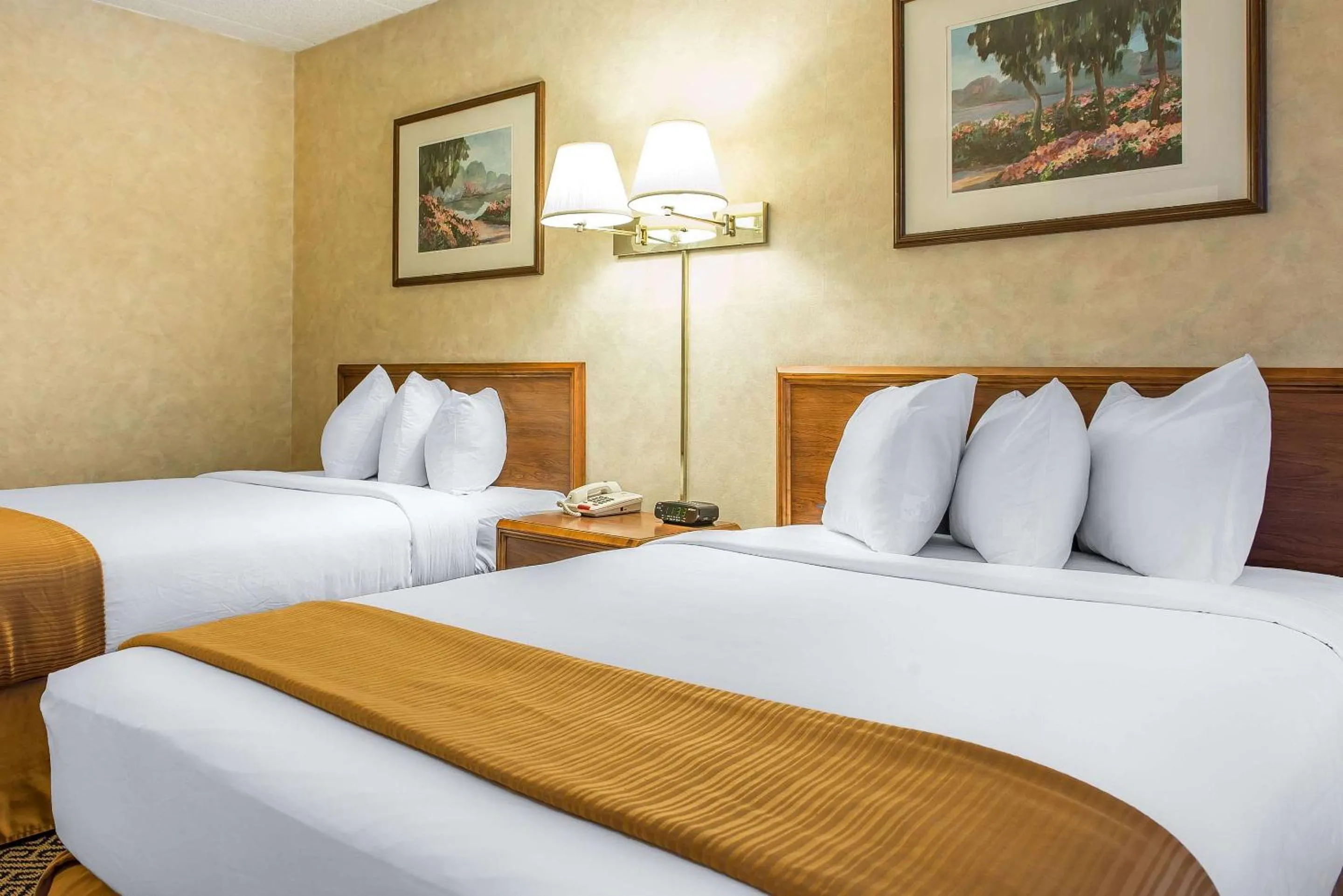 Photo of the whole room, Bed in Quality Inn and Conference Center