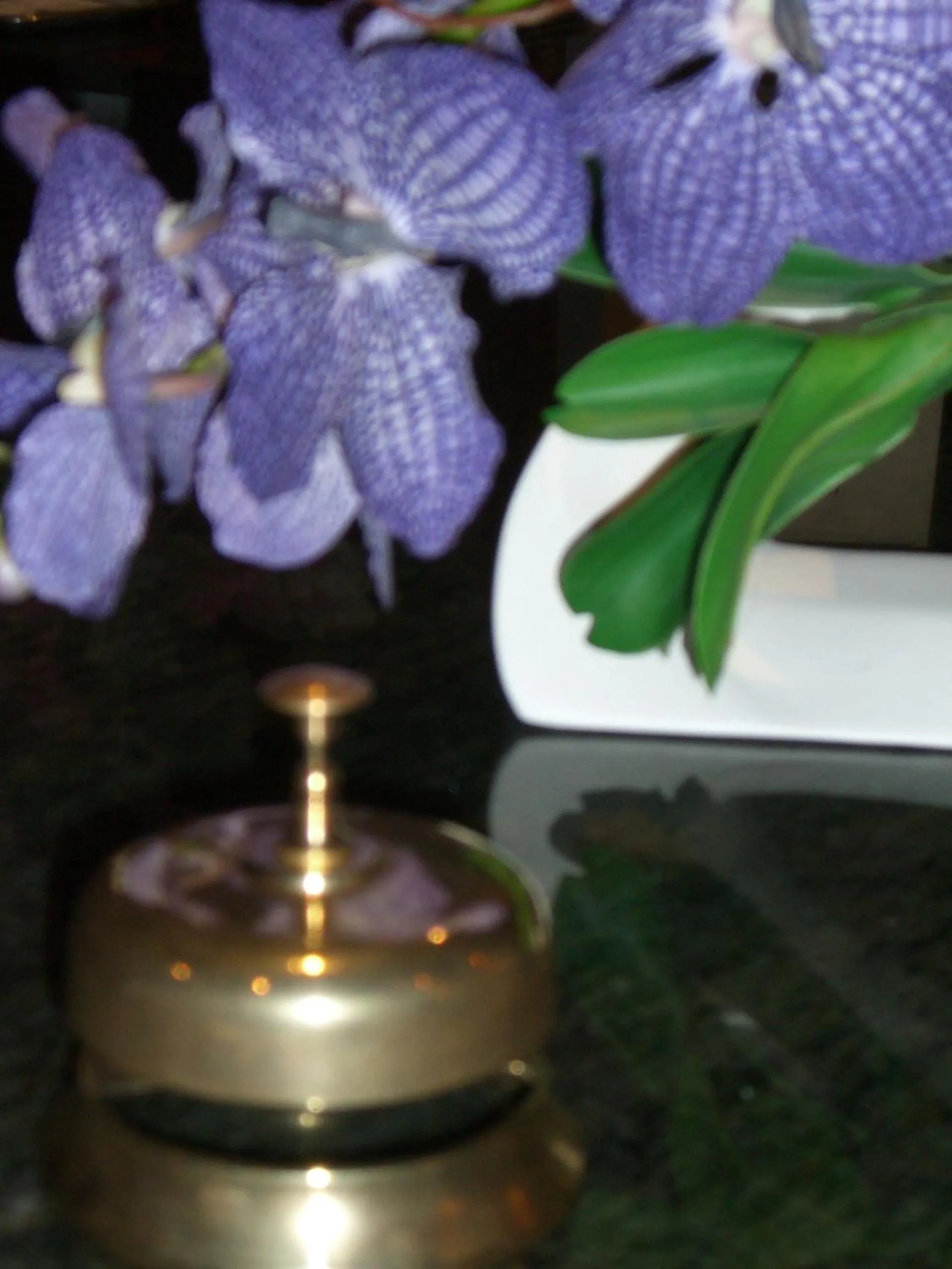 Lobby or reception in Hotel La Seu