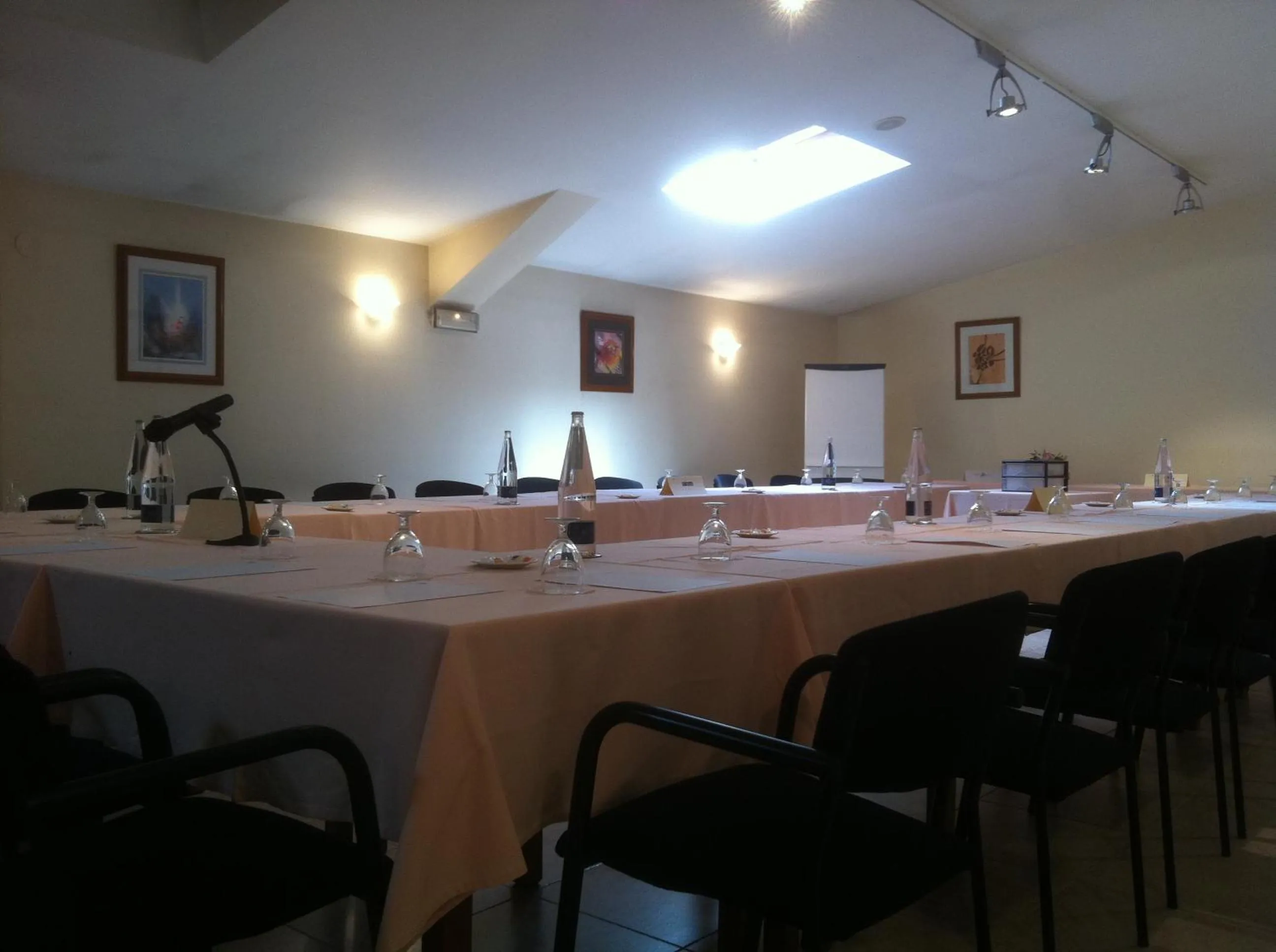 Business facilities in Hotel La Seu