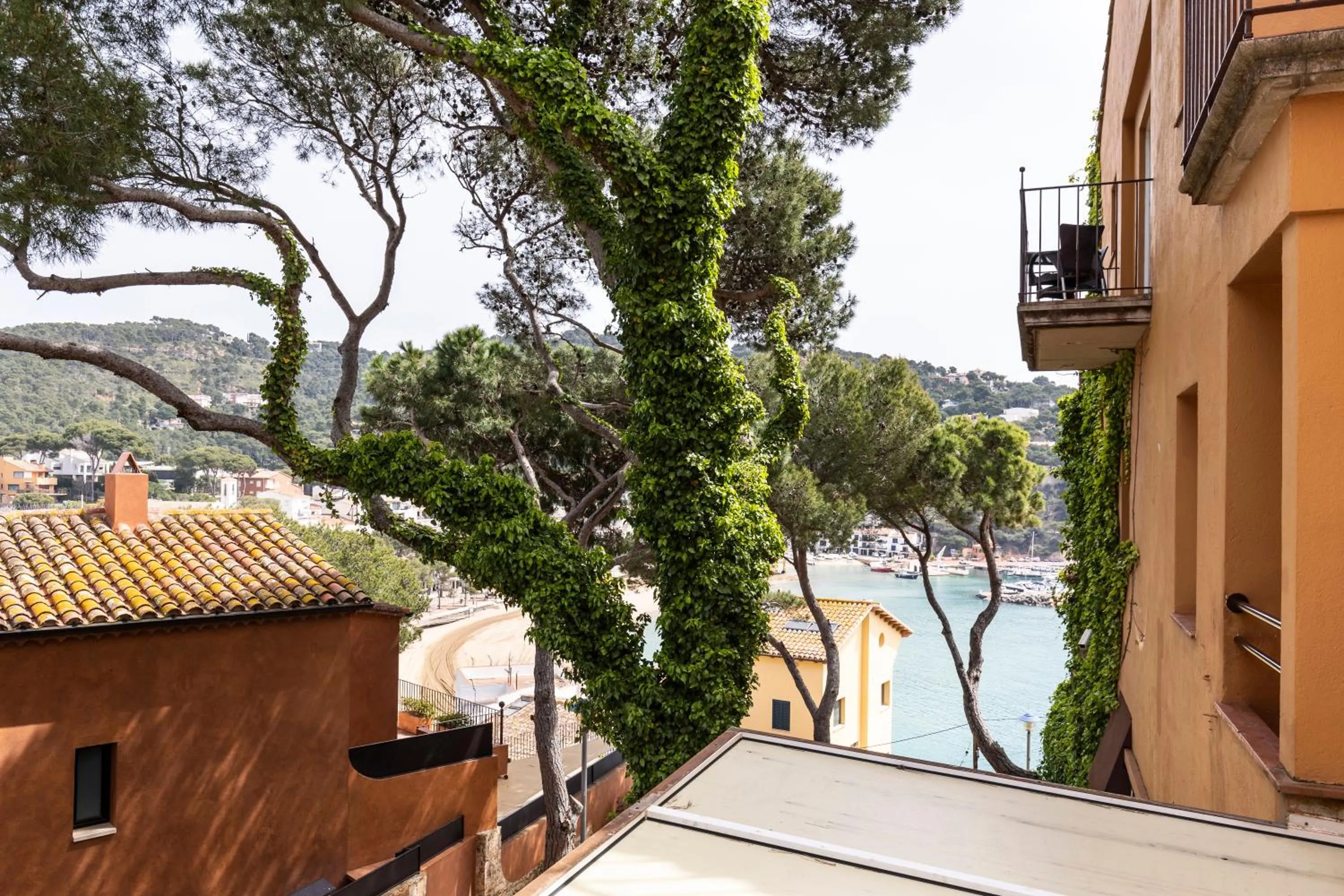 Balcony/Terrace in Hotel Casamar