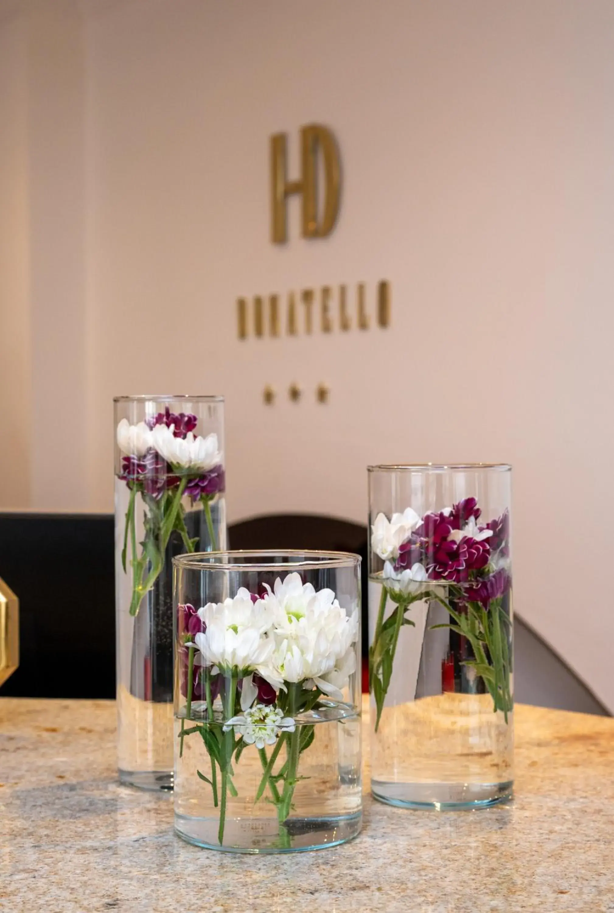 Lobby or reception in Hotel Donatello Lobby or reception in Hotel Donatello