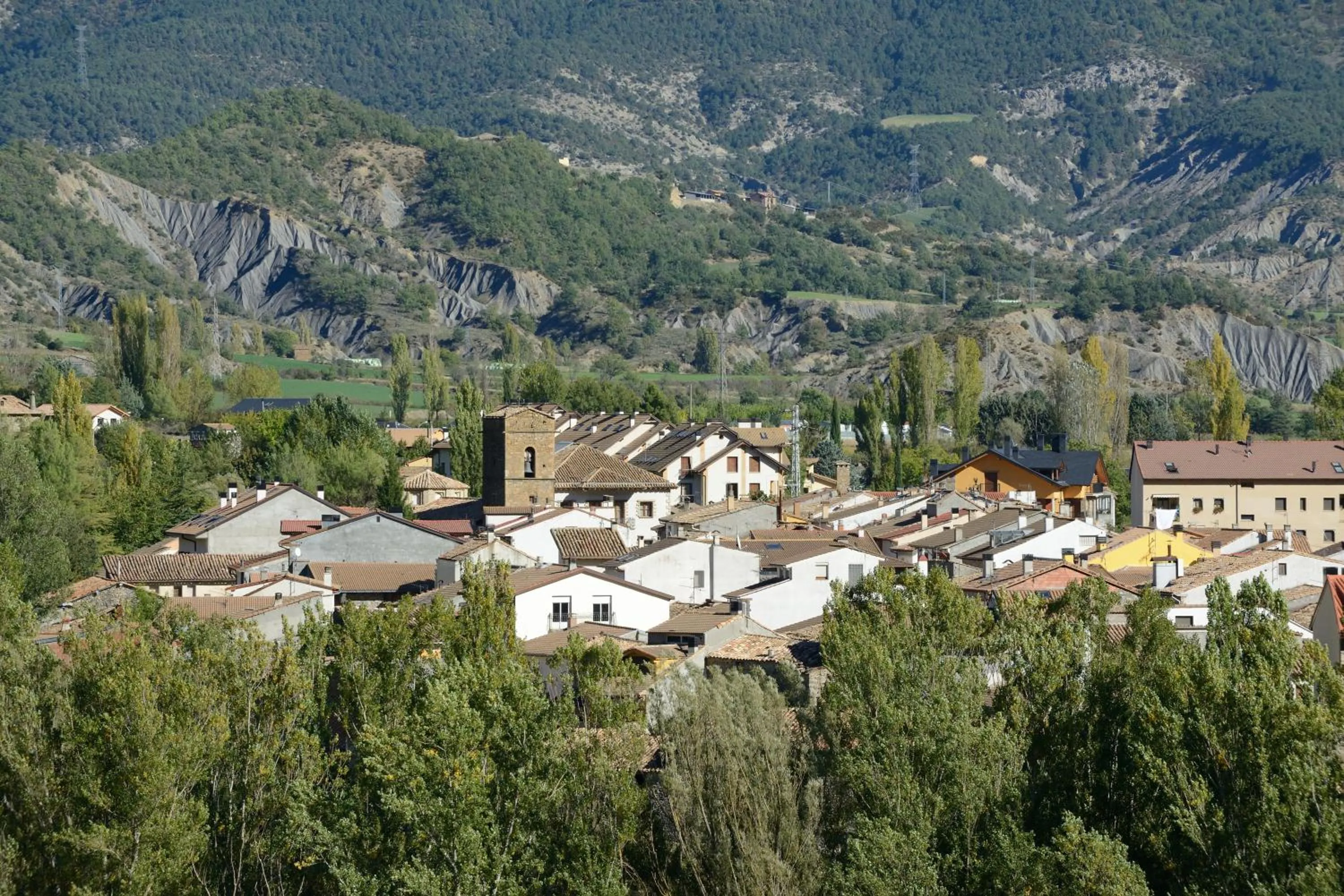 Natural landscape in Hotel Los Nogales