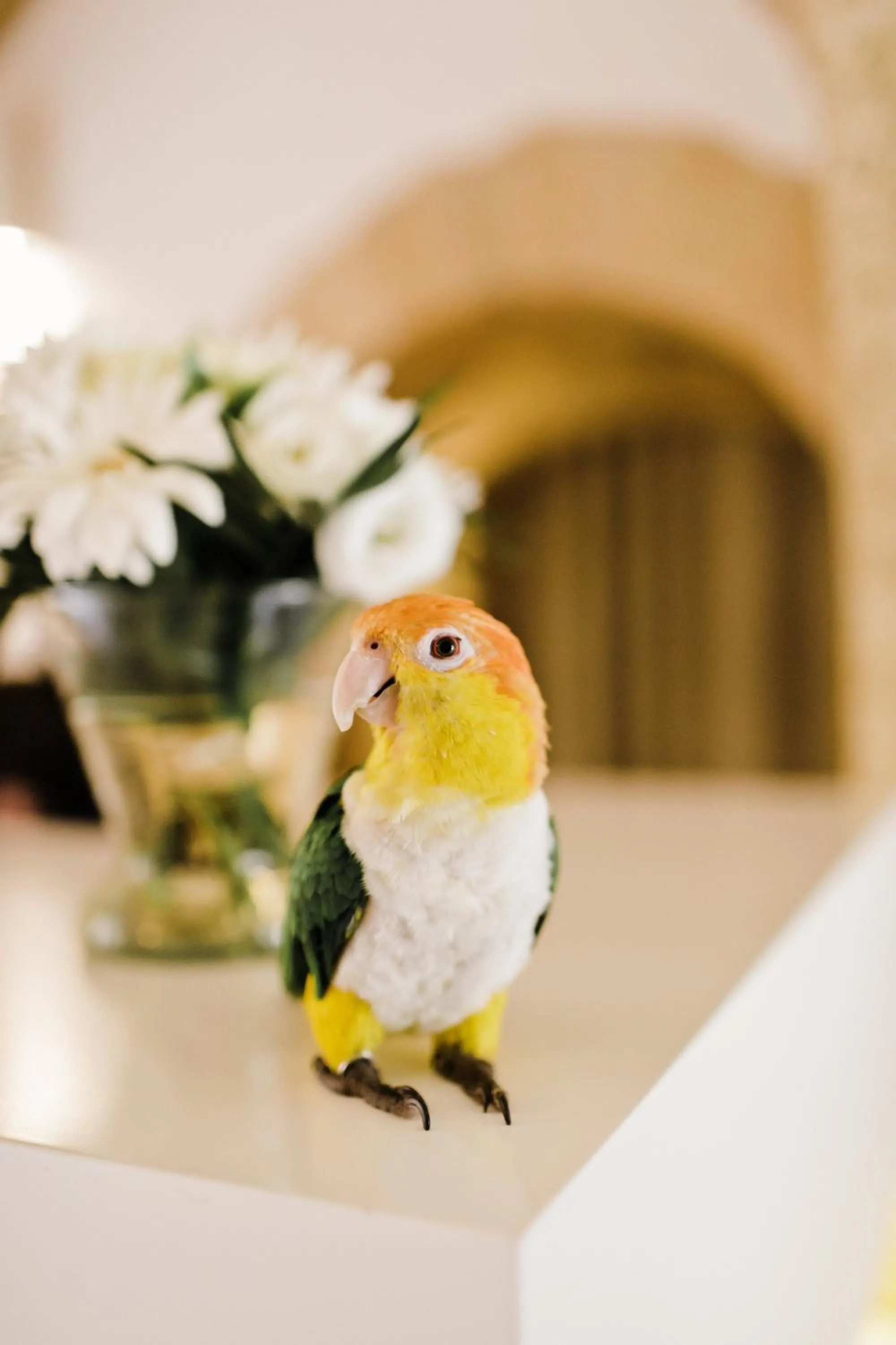 Lobby or reception in Le Vieux Castillon