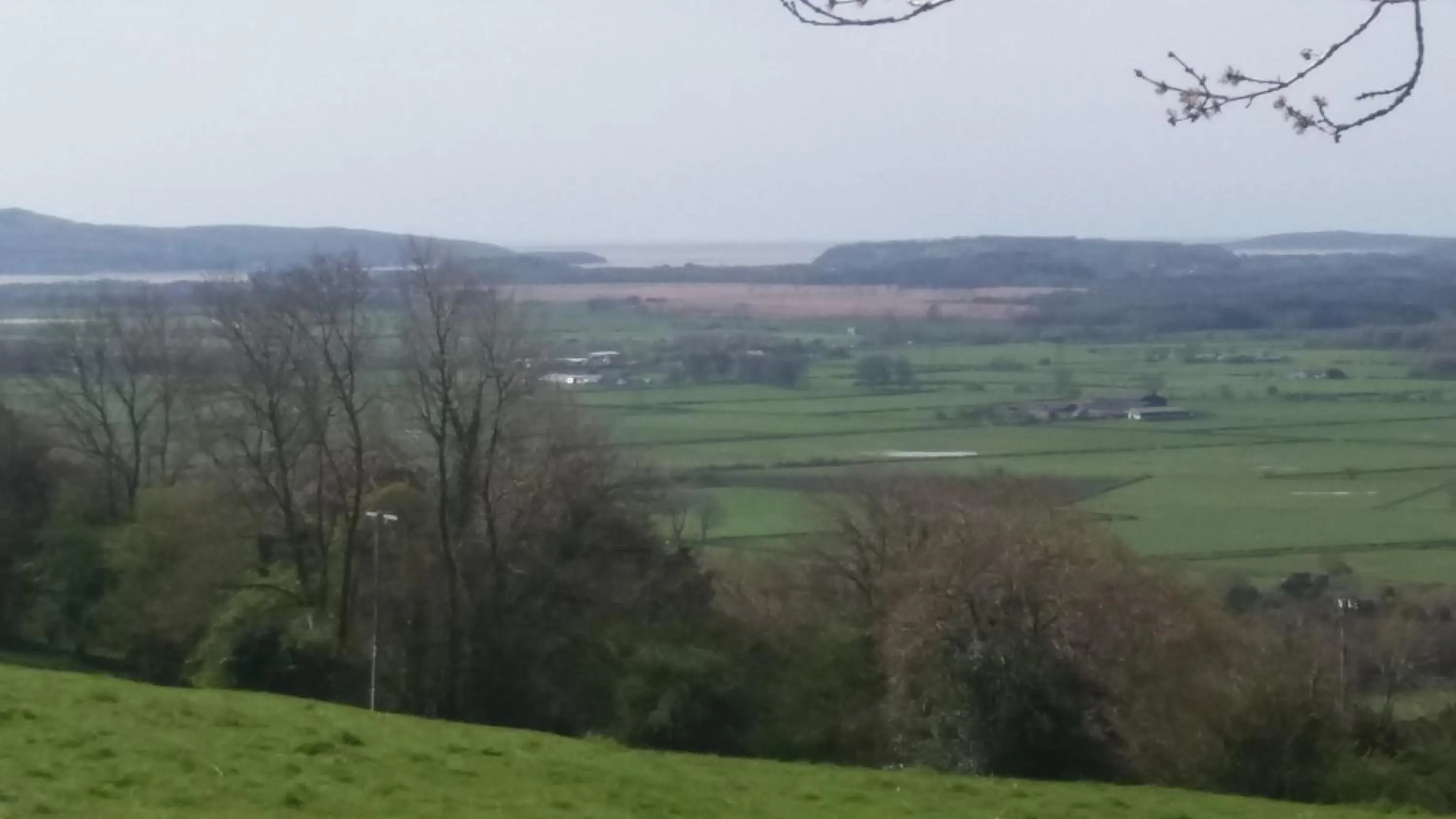 Spring in Plumtree House