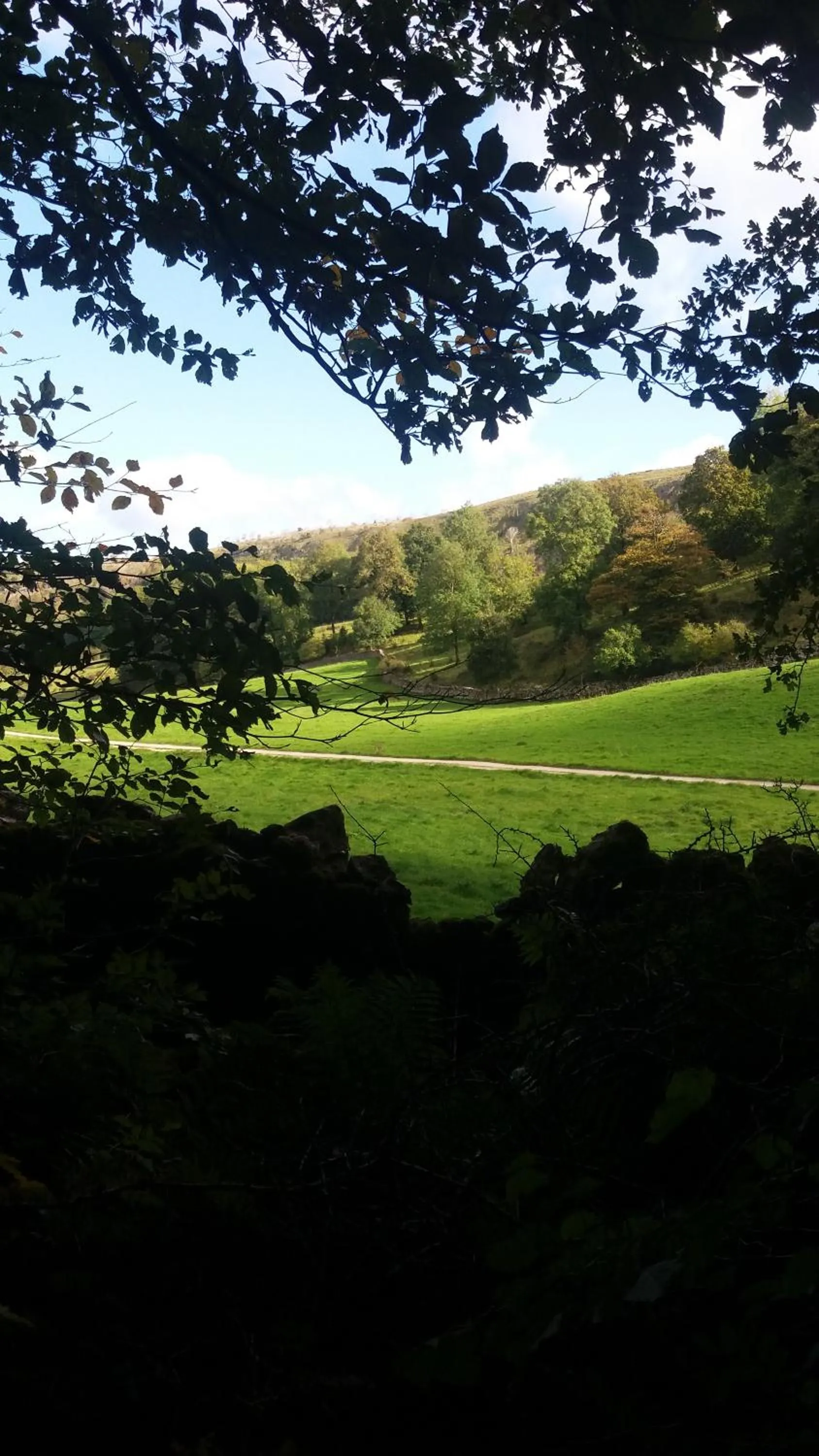 Hiking in Plumtree House