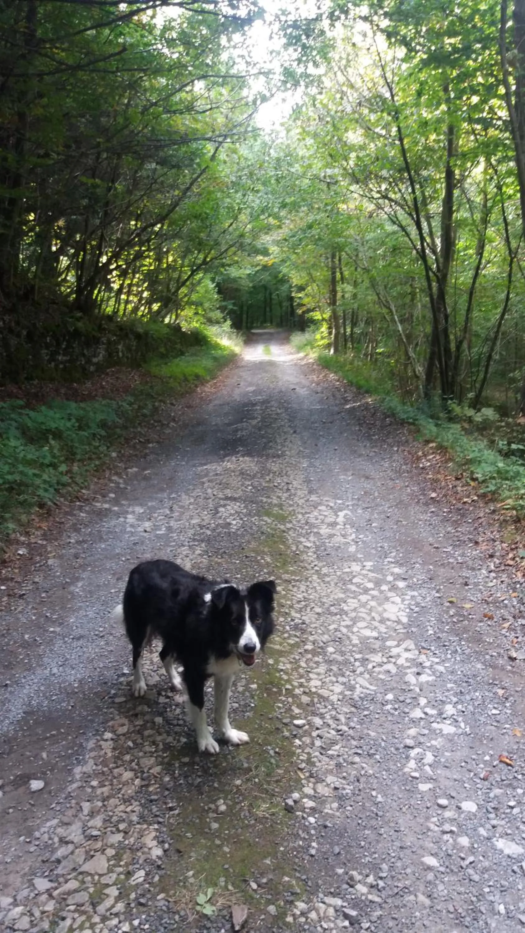 Natural landscape in Plumtree House