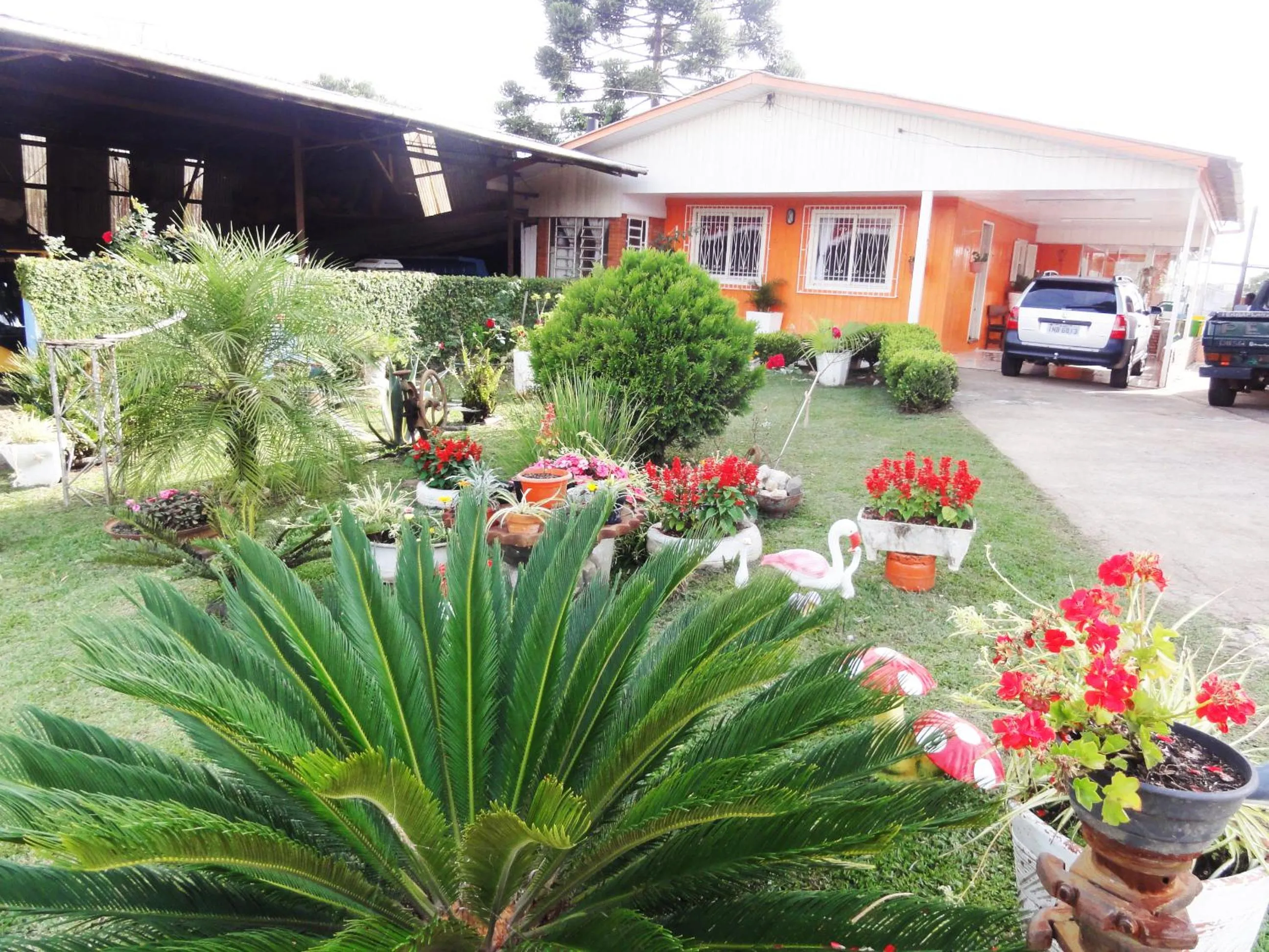 Orange House Canela