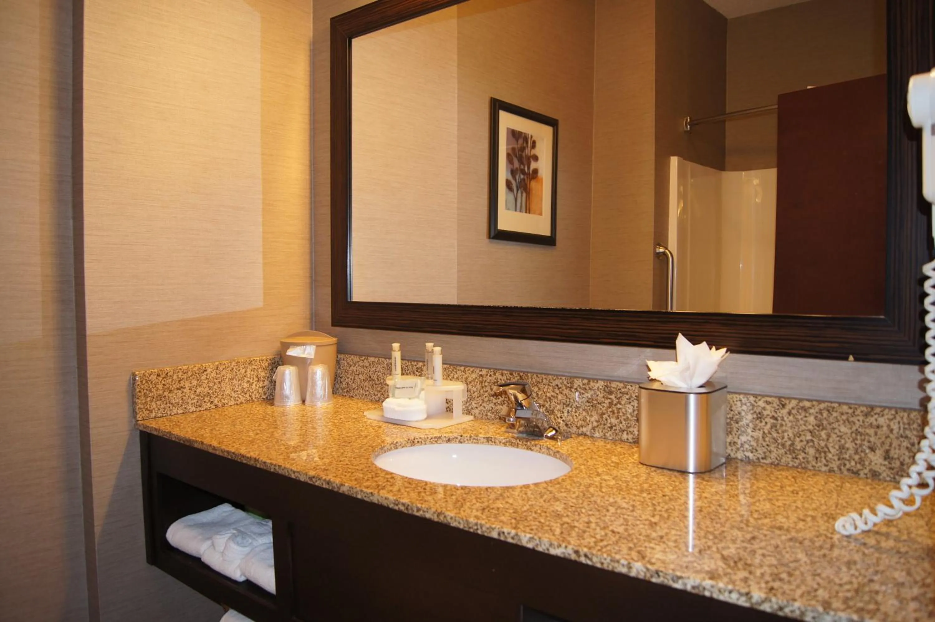 Bathroom in Holiday Inn Express Hotel & Suites Buford-Mall Of Georgia