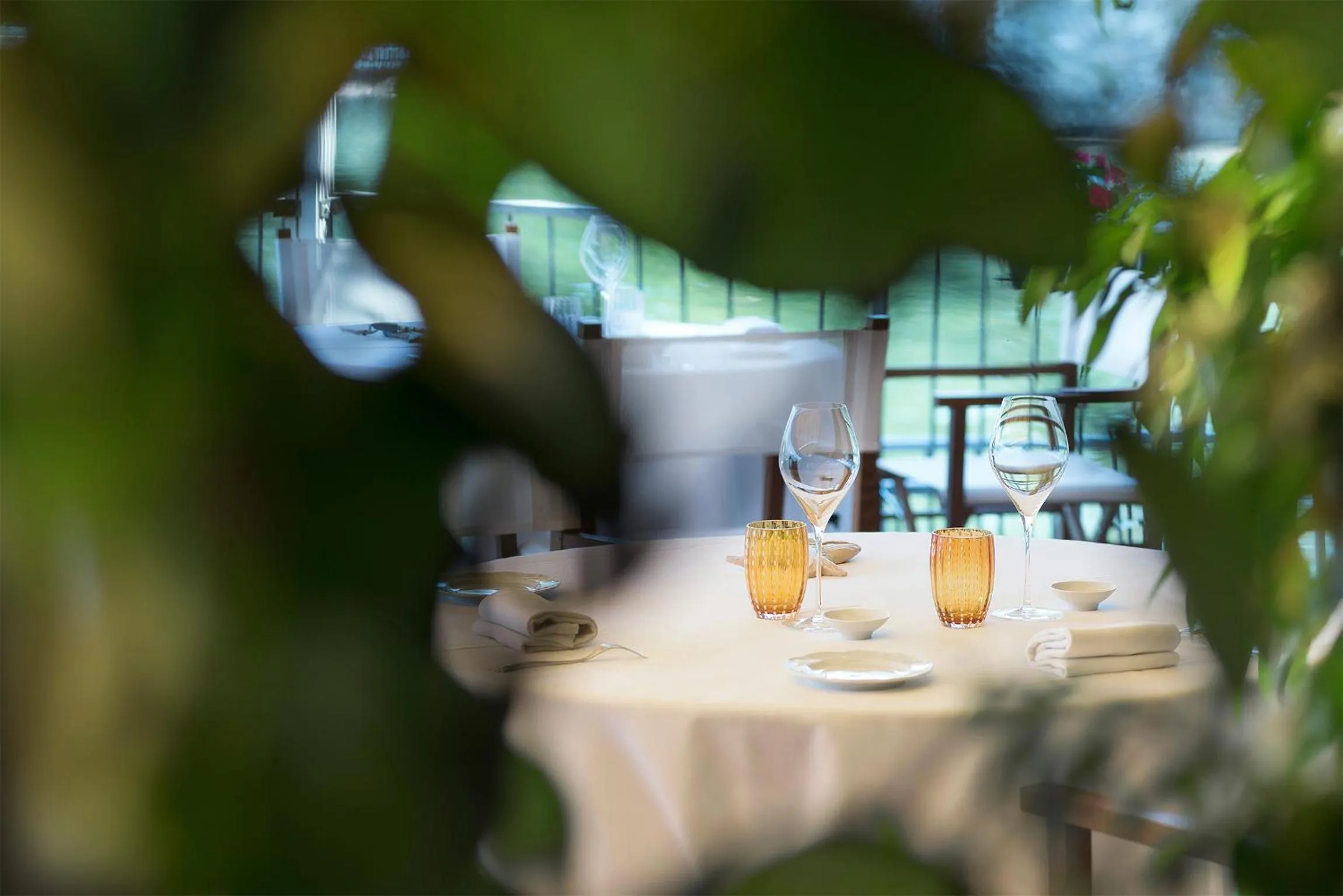 Restaurant/places to eat in Il Porticciolo