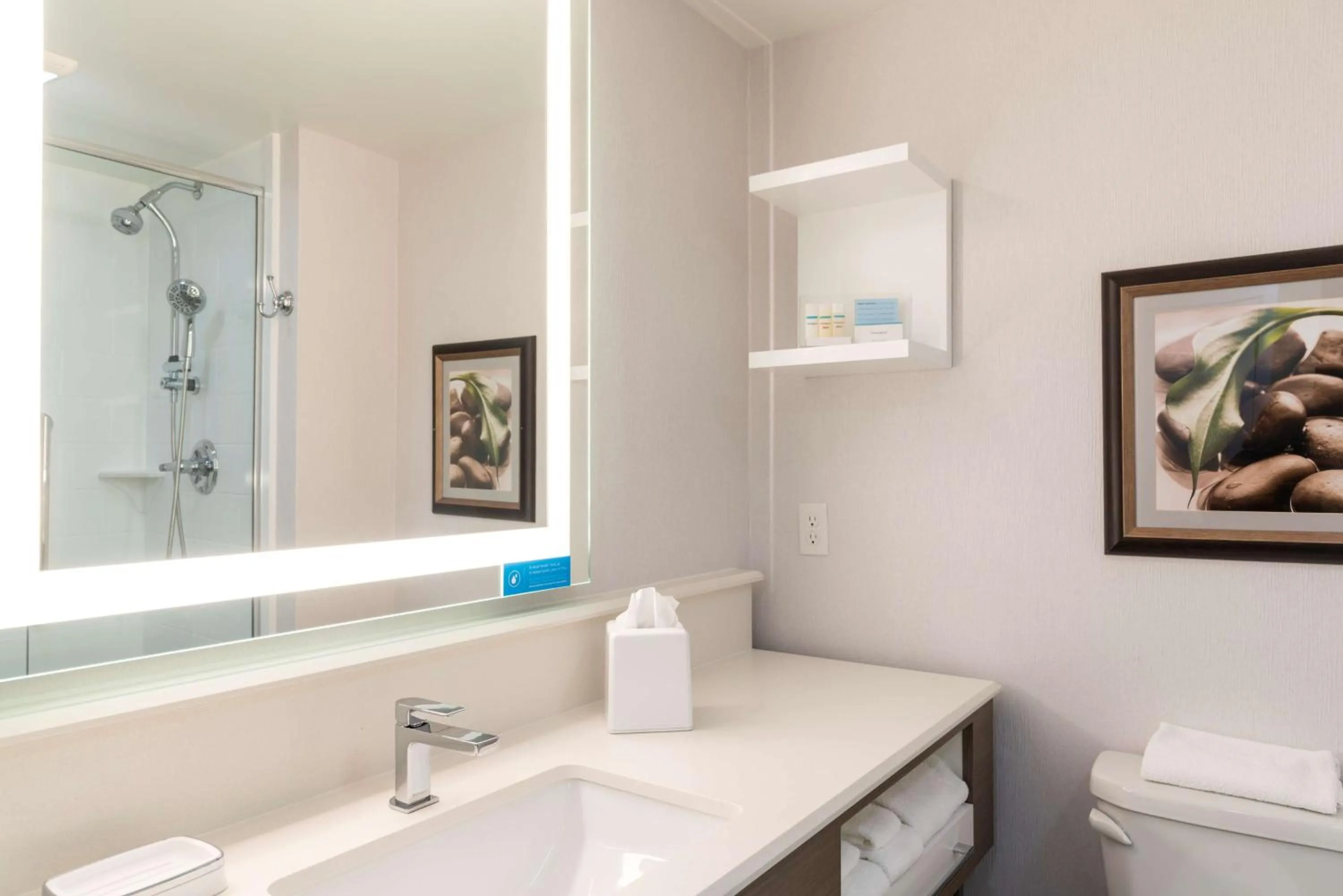 Bathroom in Hampton Inn Holland