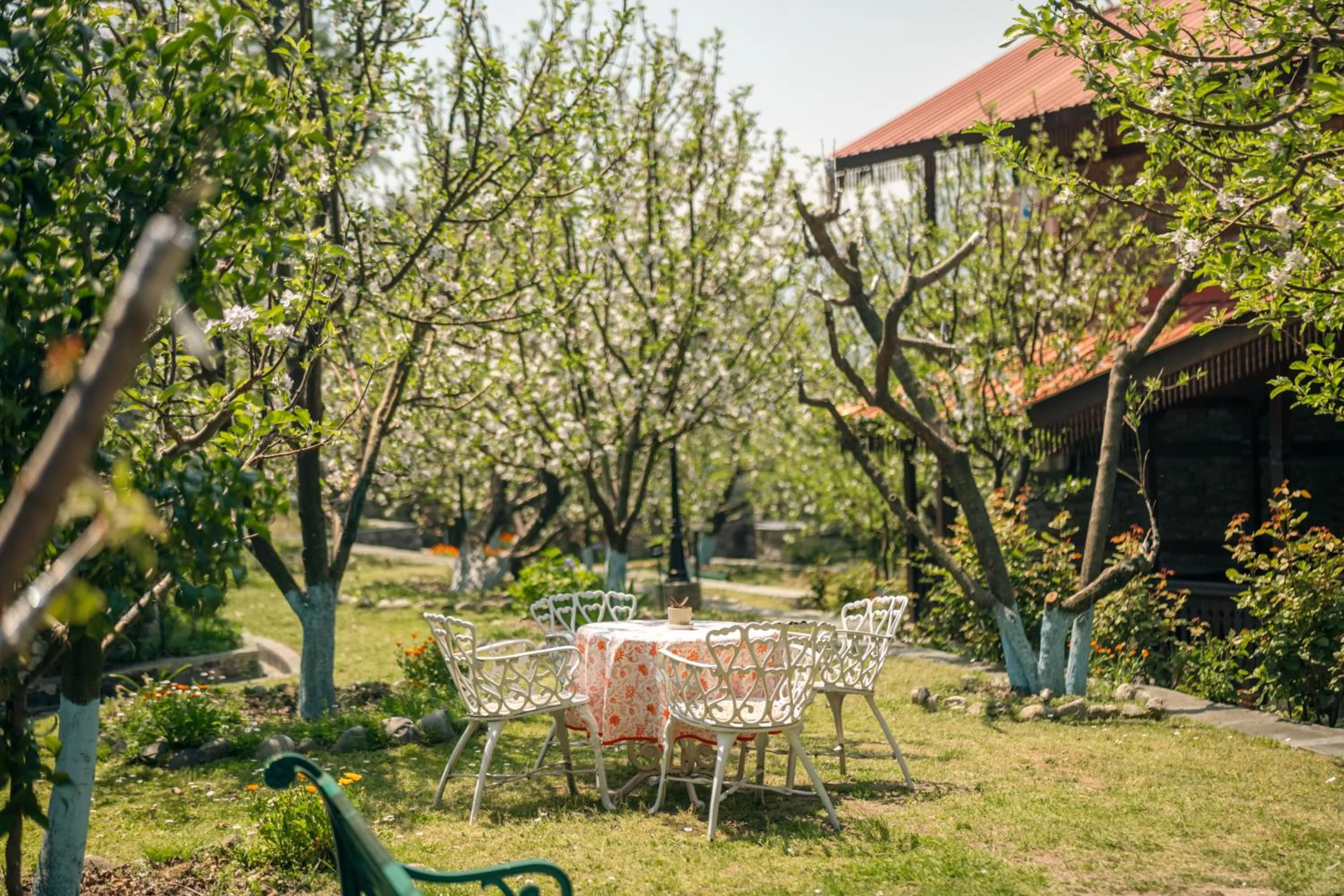 Spring in Shivadya - A Luxury Boutique Experience