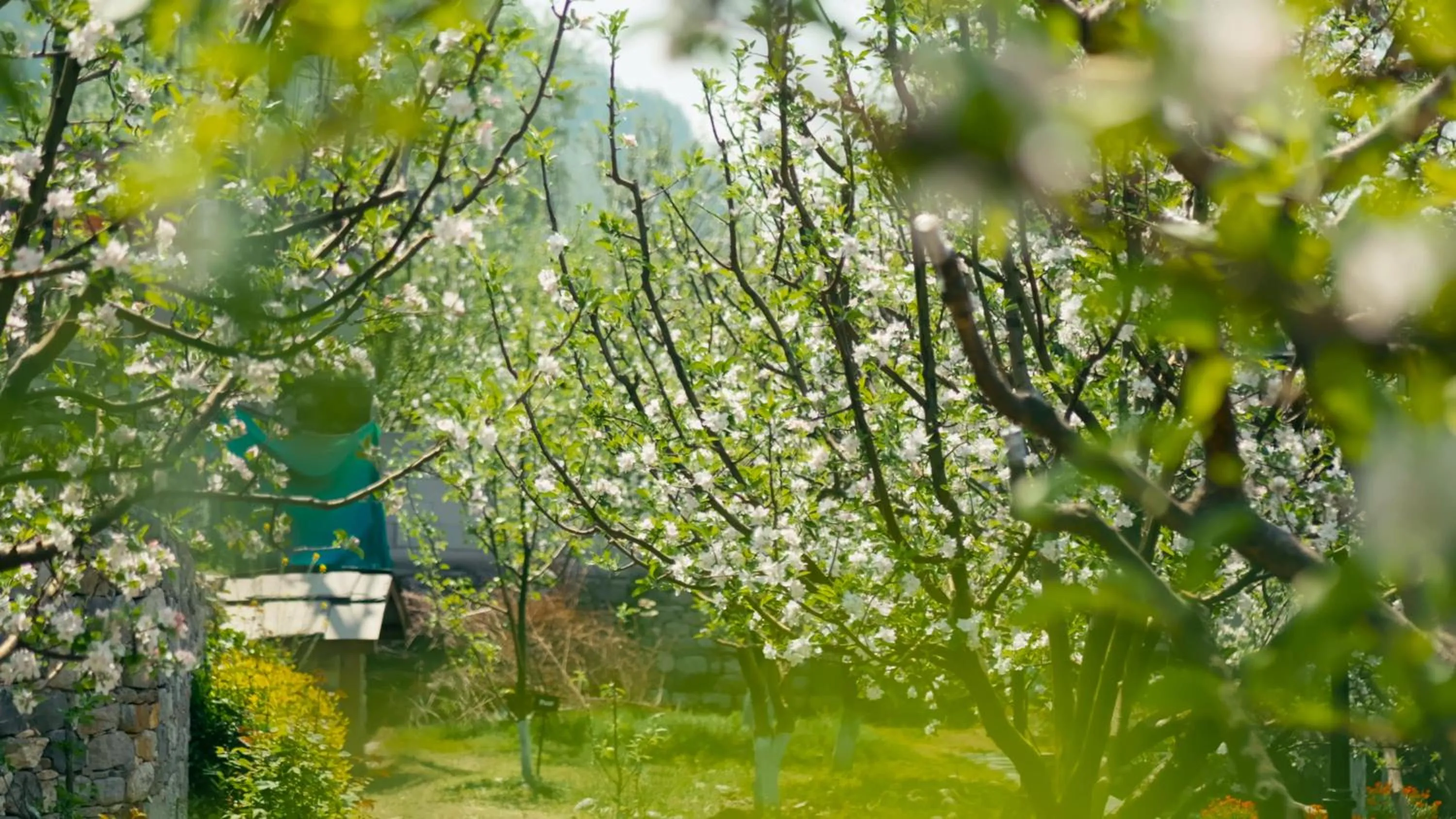 Spring in Shivadya - A Luxury Boutique Experience