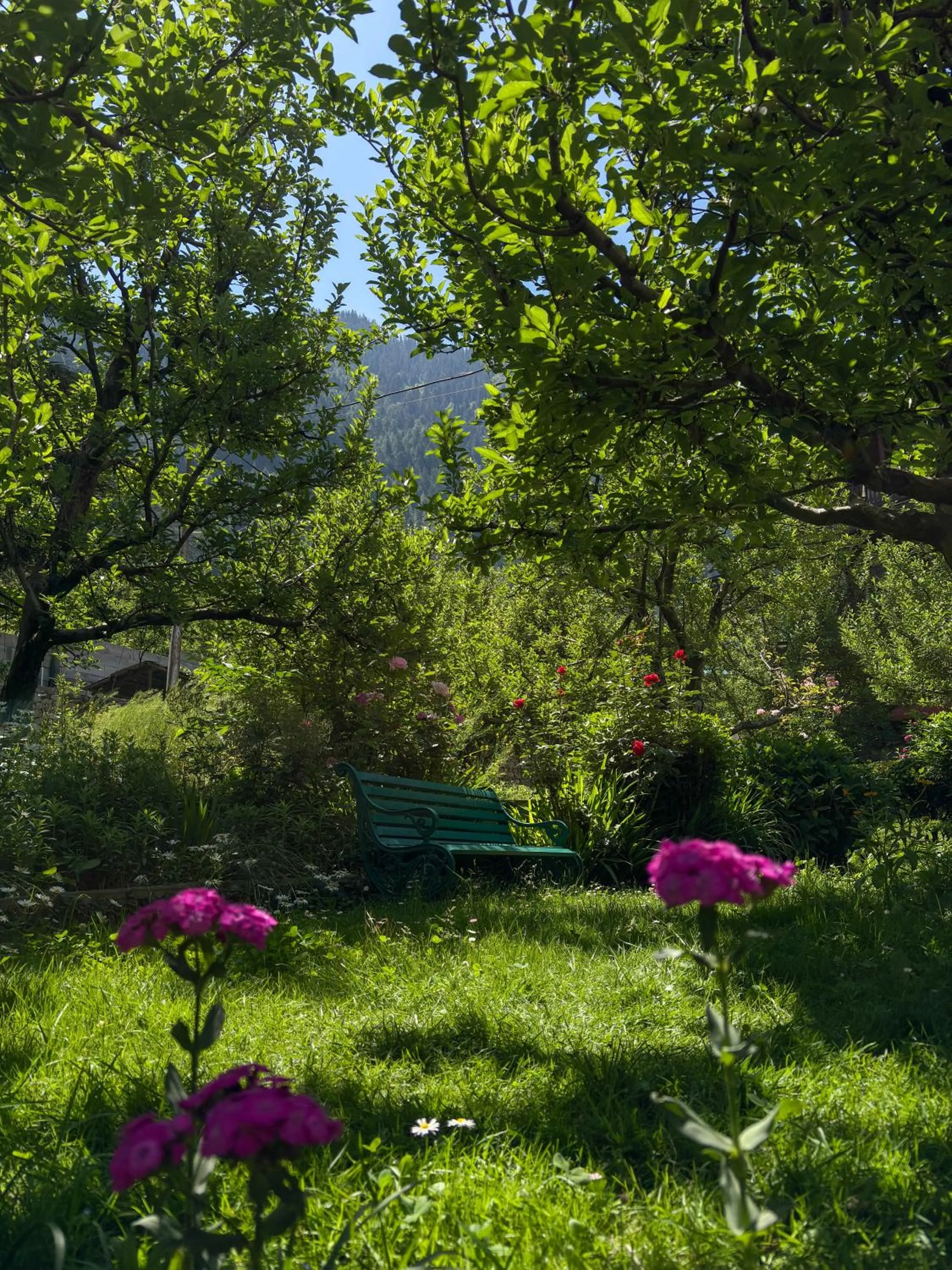 Spring in Shivadya - A Luxury Boutique Experience