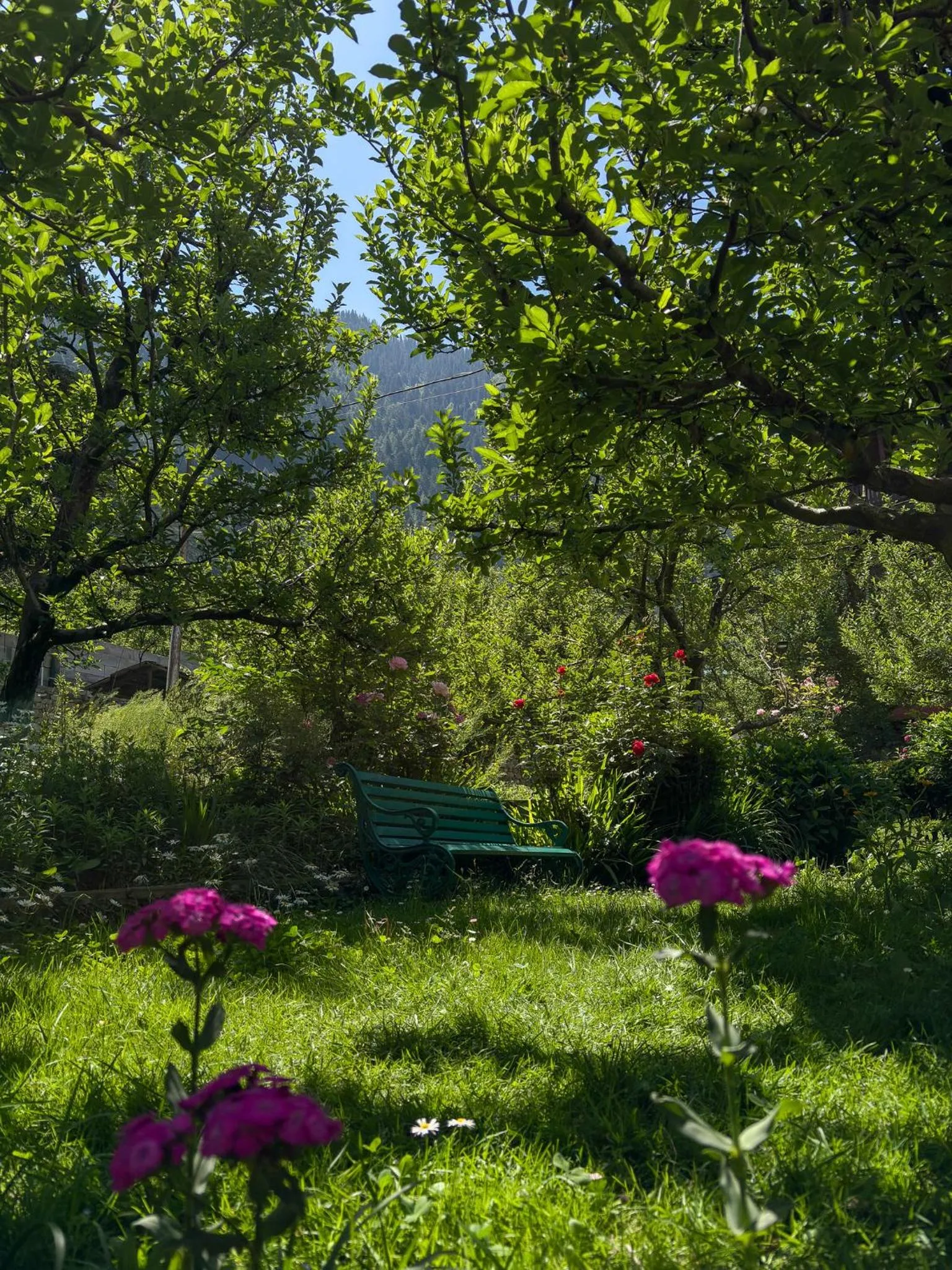 Spring in Shivadya - A Luxury Boutique Experience