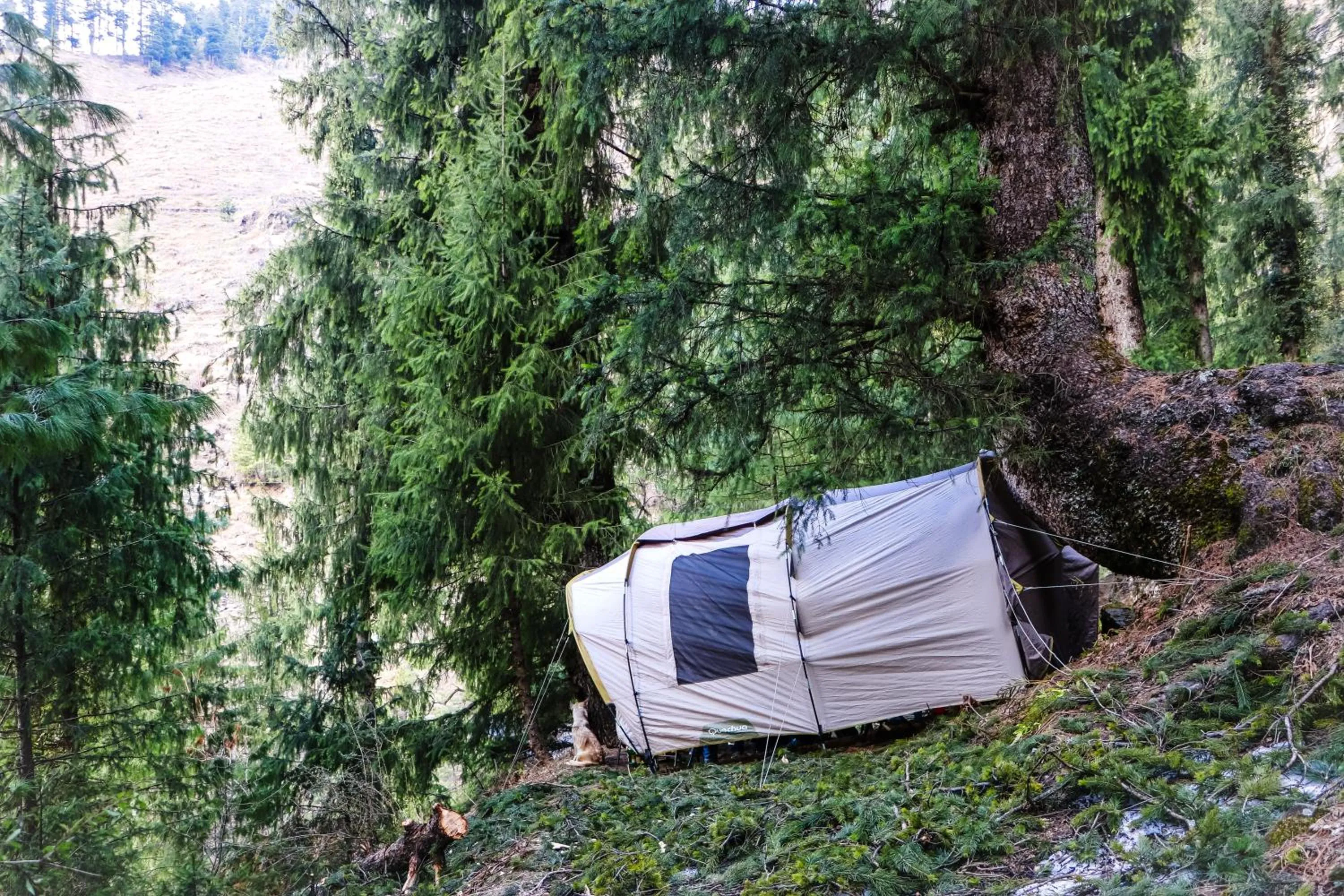 Shivadya - A Luxury Boutique Experience