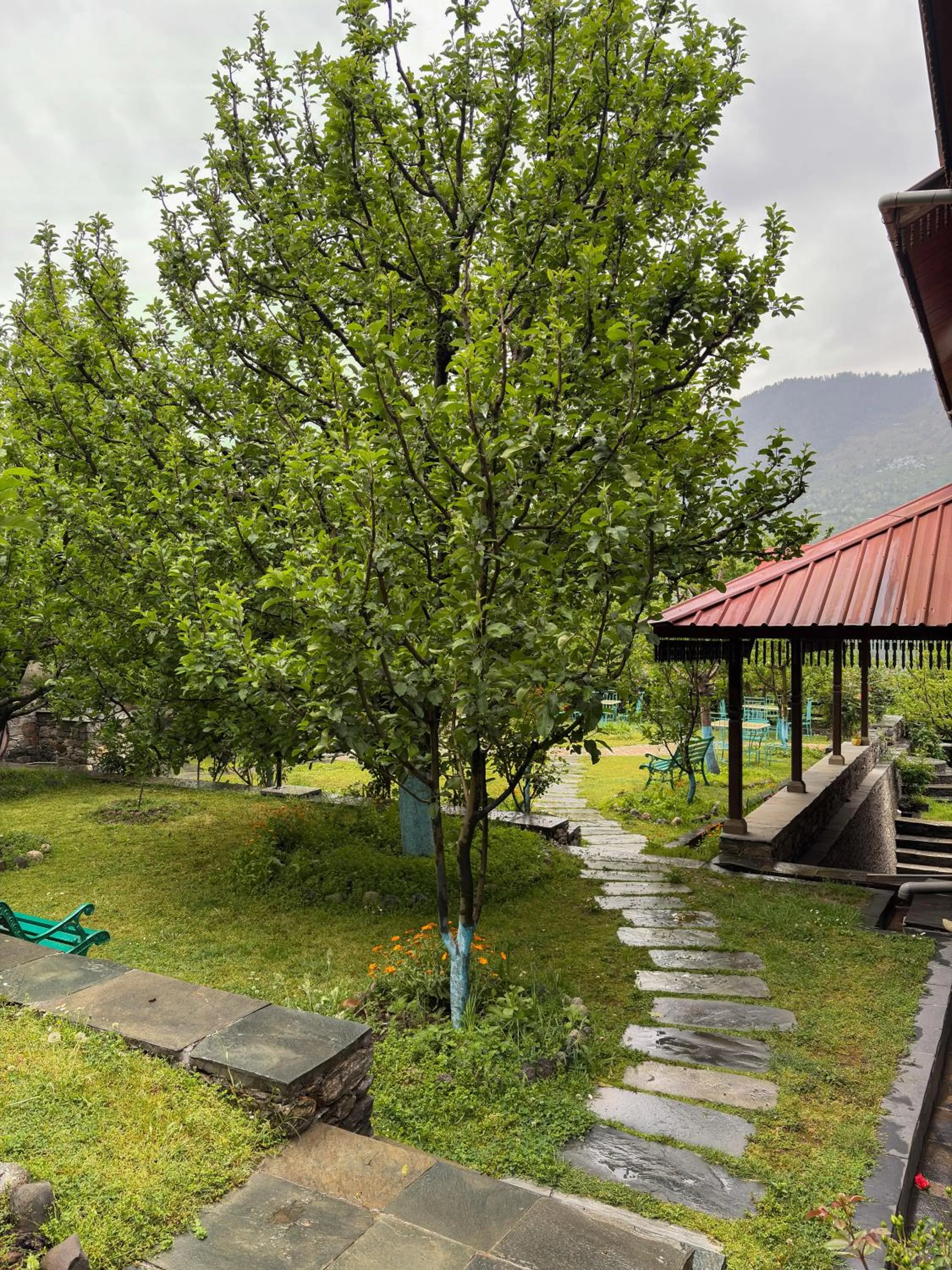 Spring in Shivadya - A Luxury Boutique Experience