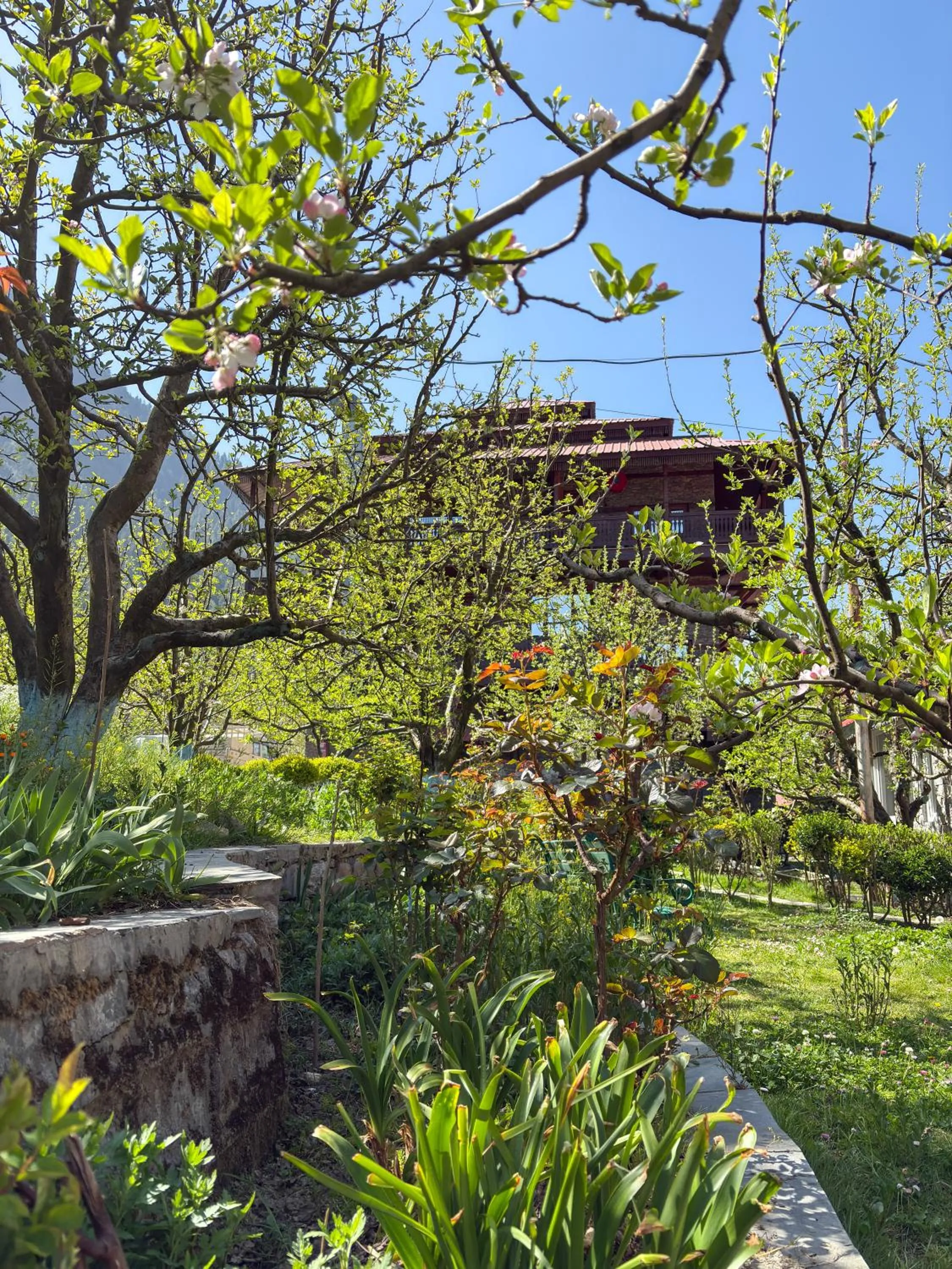 Property building in Shivadya - A Luxury Boutique Experience