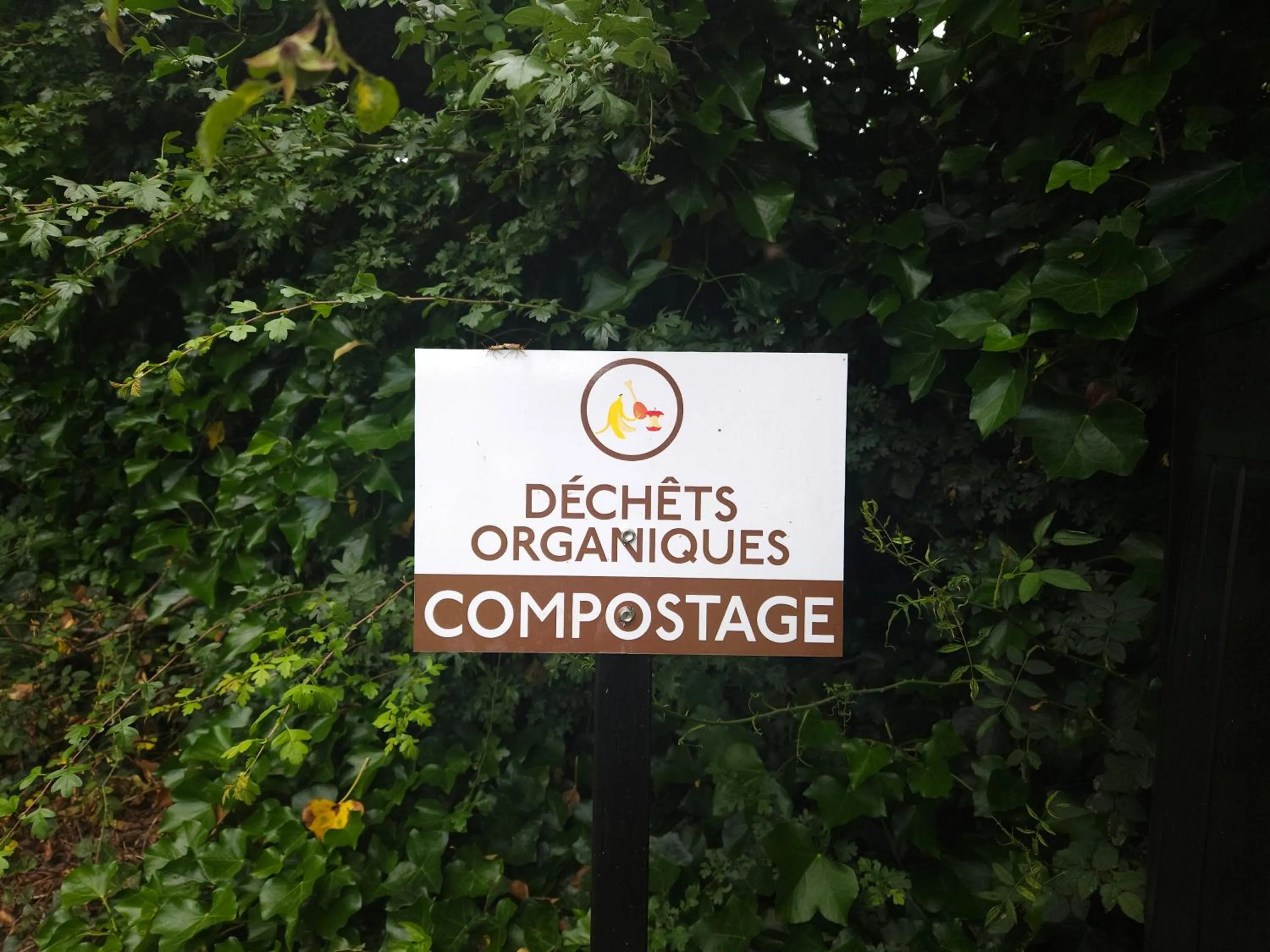 Brit Hotel Dak Hotel