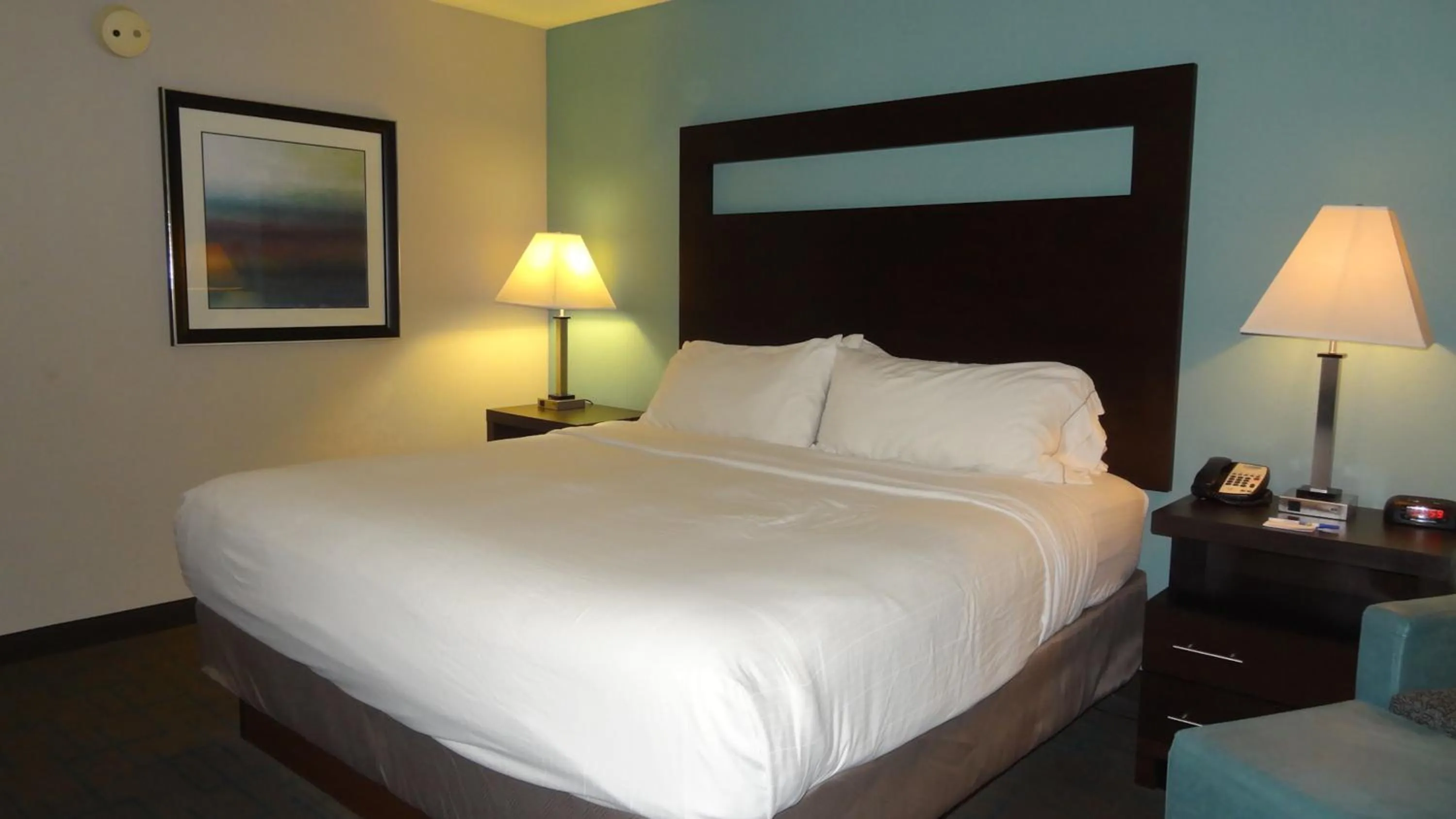 Photo of the whole room, Bed in Holiday Inn Express Hotel Kansas City - Bonner Springs by IHG