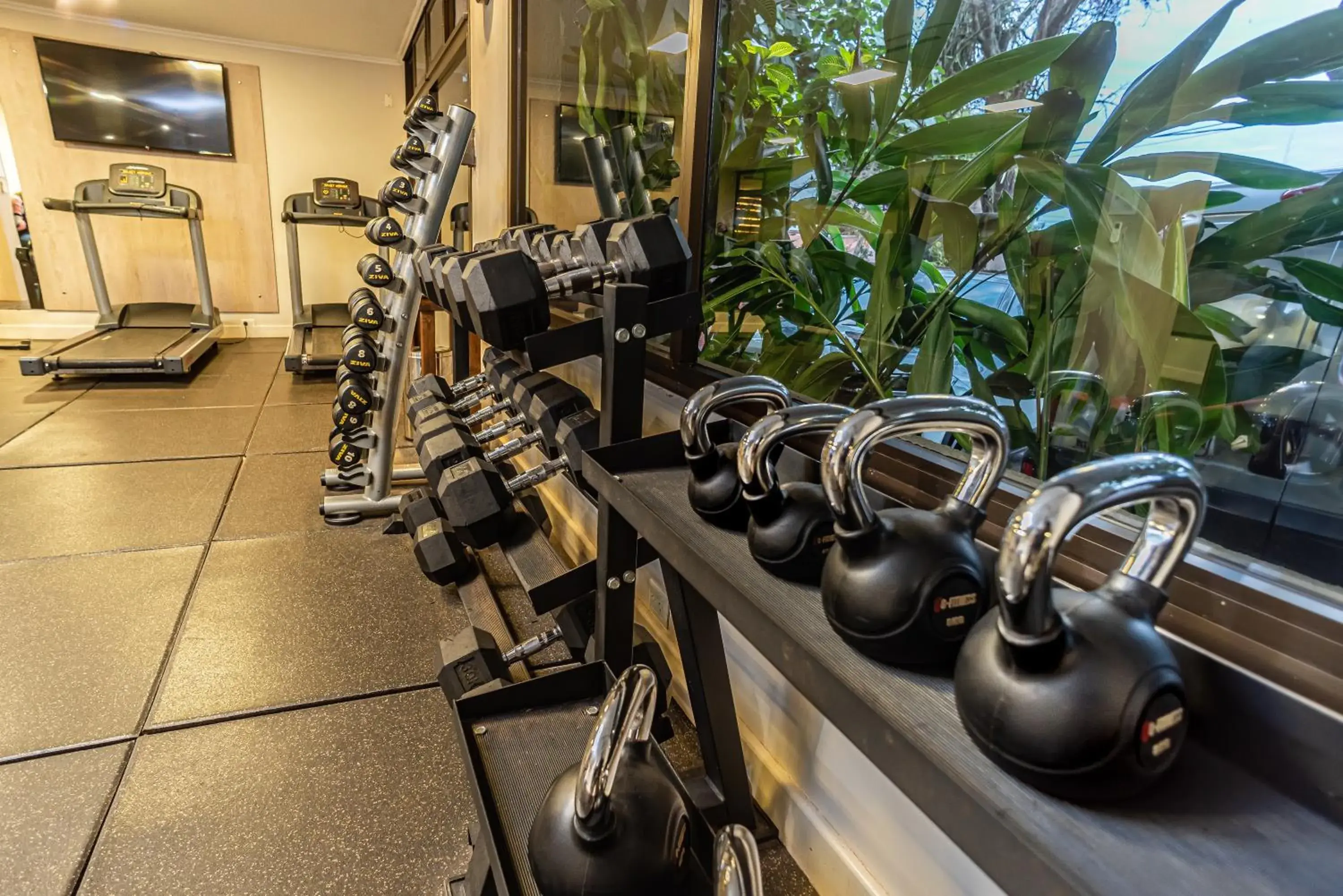 Fitness centre/facilities in Hotel Saint George Fitness centre/facilities in Hotel Saint George