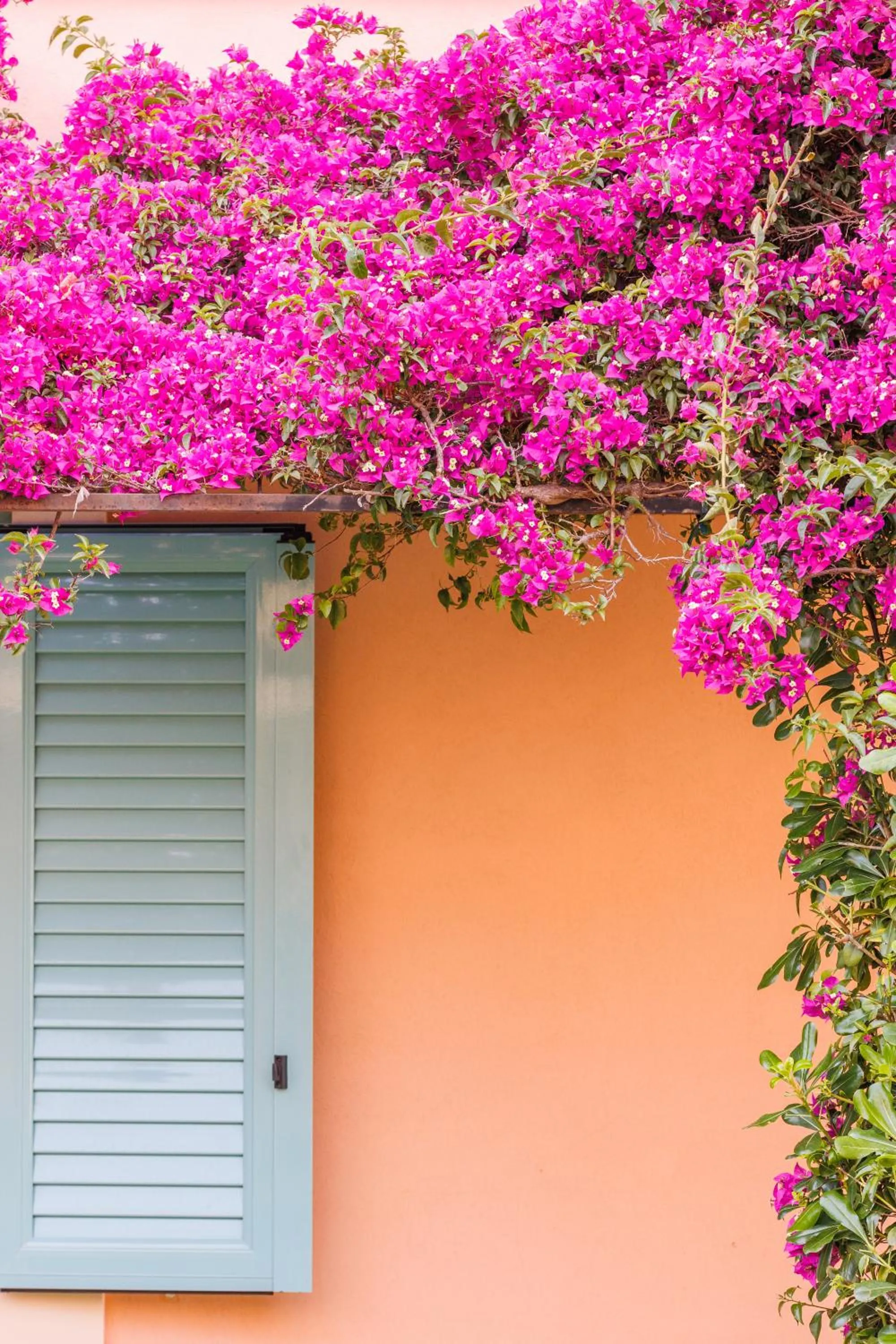 Garden in Satori Boutique Hotel