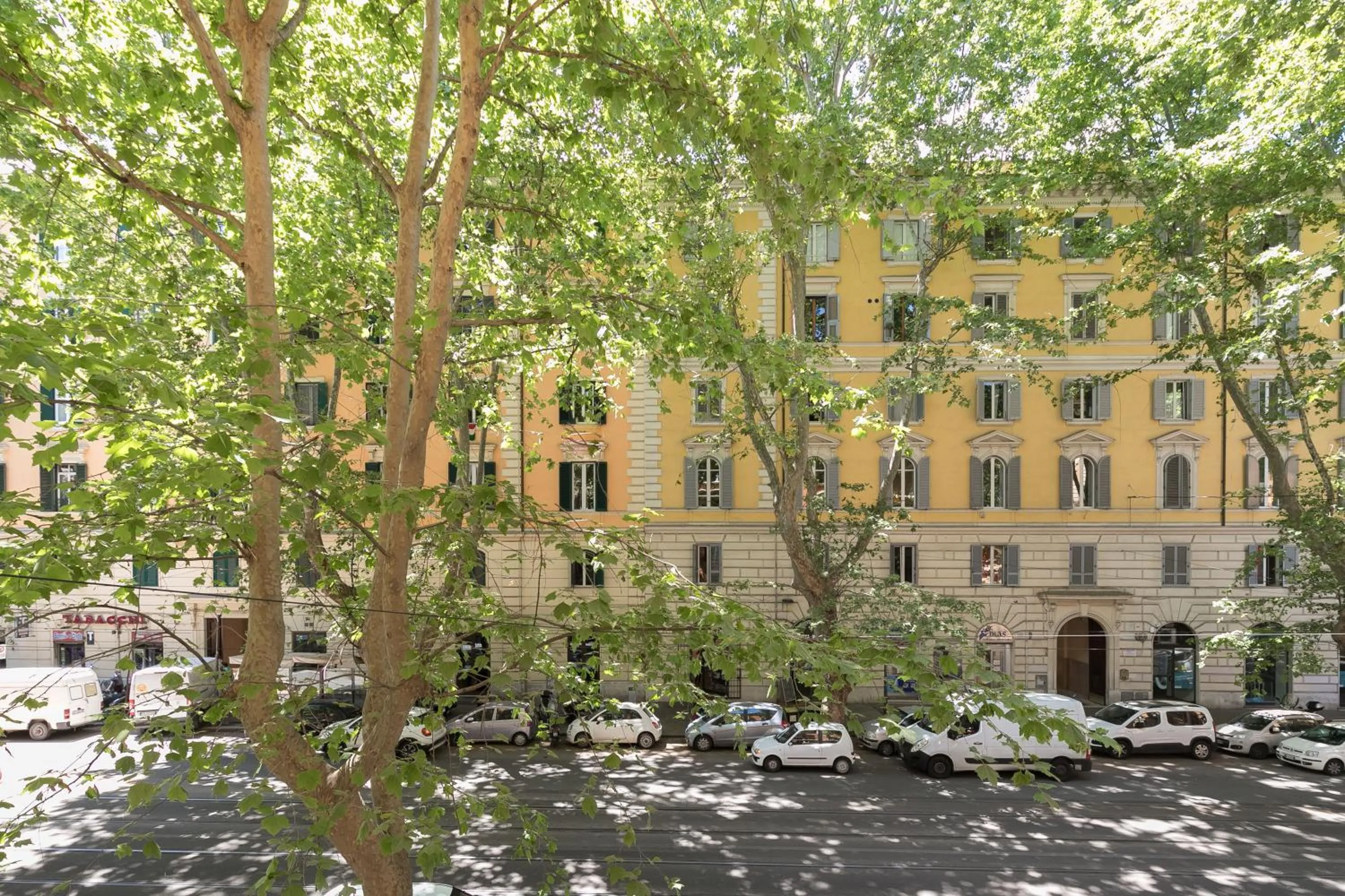 Property building in Queen Meg Roma