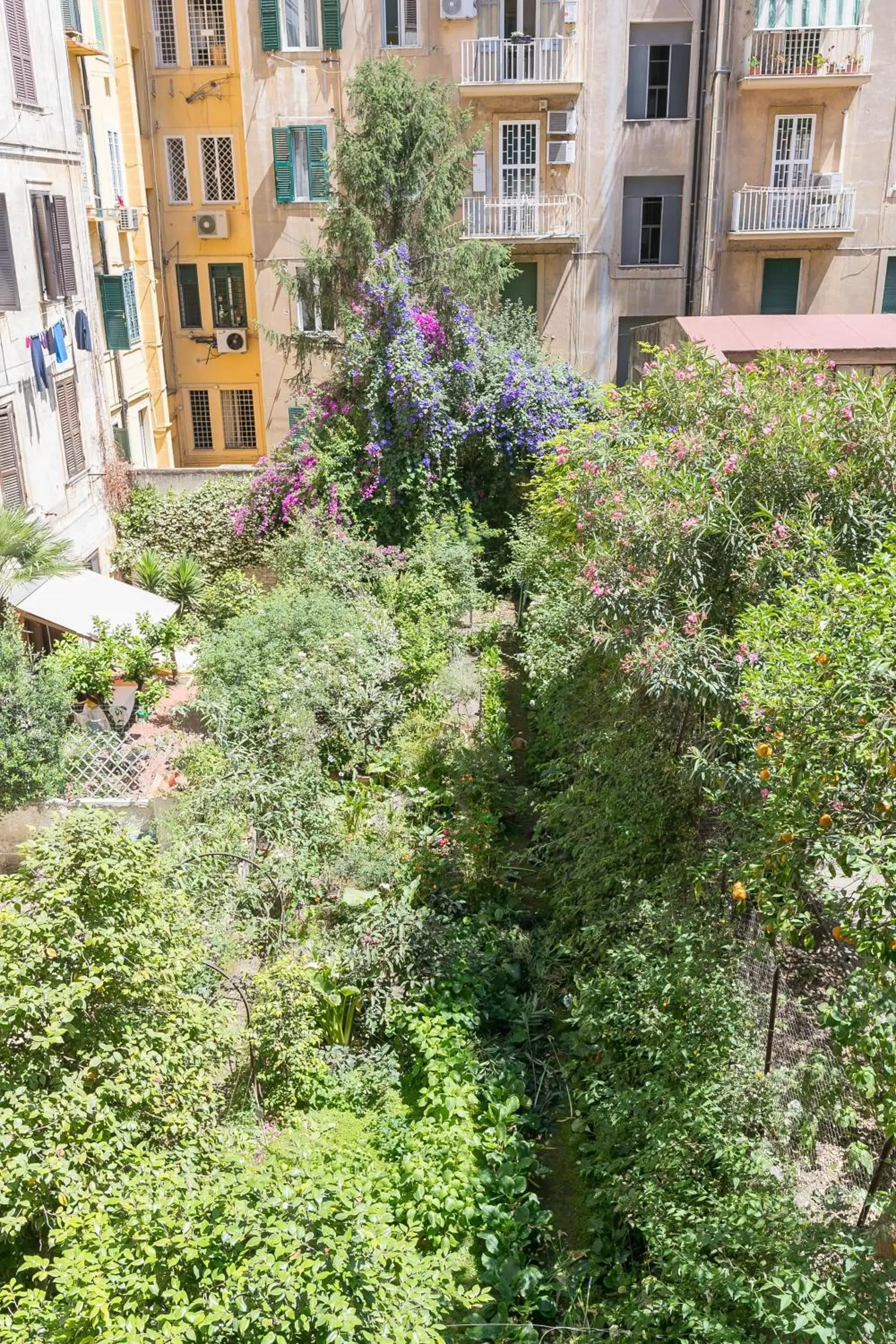 Inner courtyard view in Queen Meg Roma Inner courtyard view in Queen Meg Roma