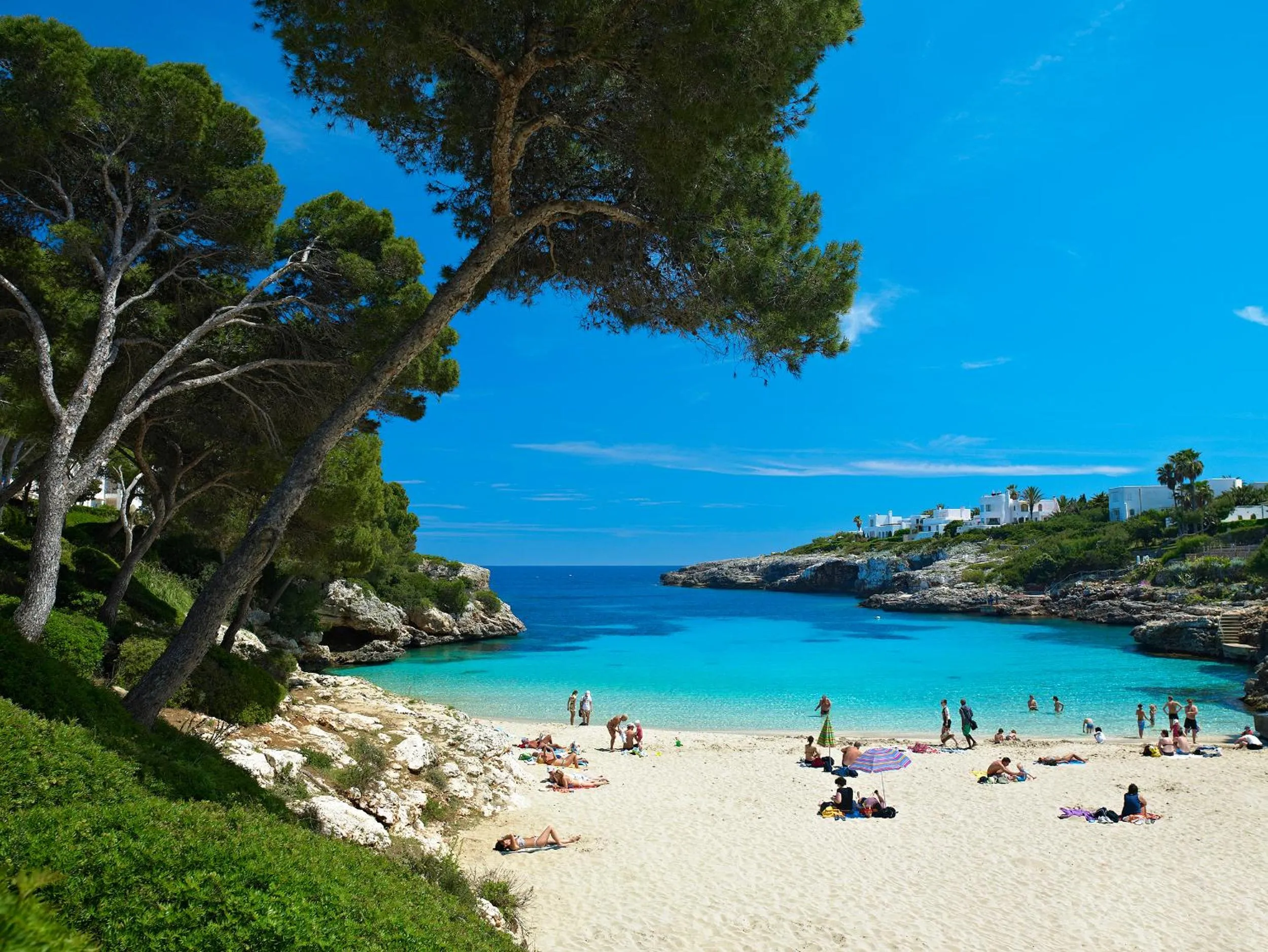 Natural landscape in Inturotel Esmeralda Garden