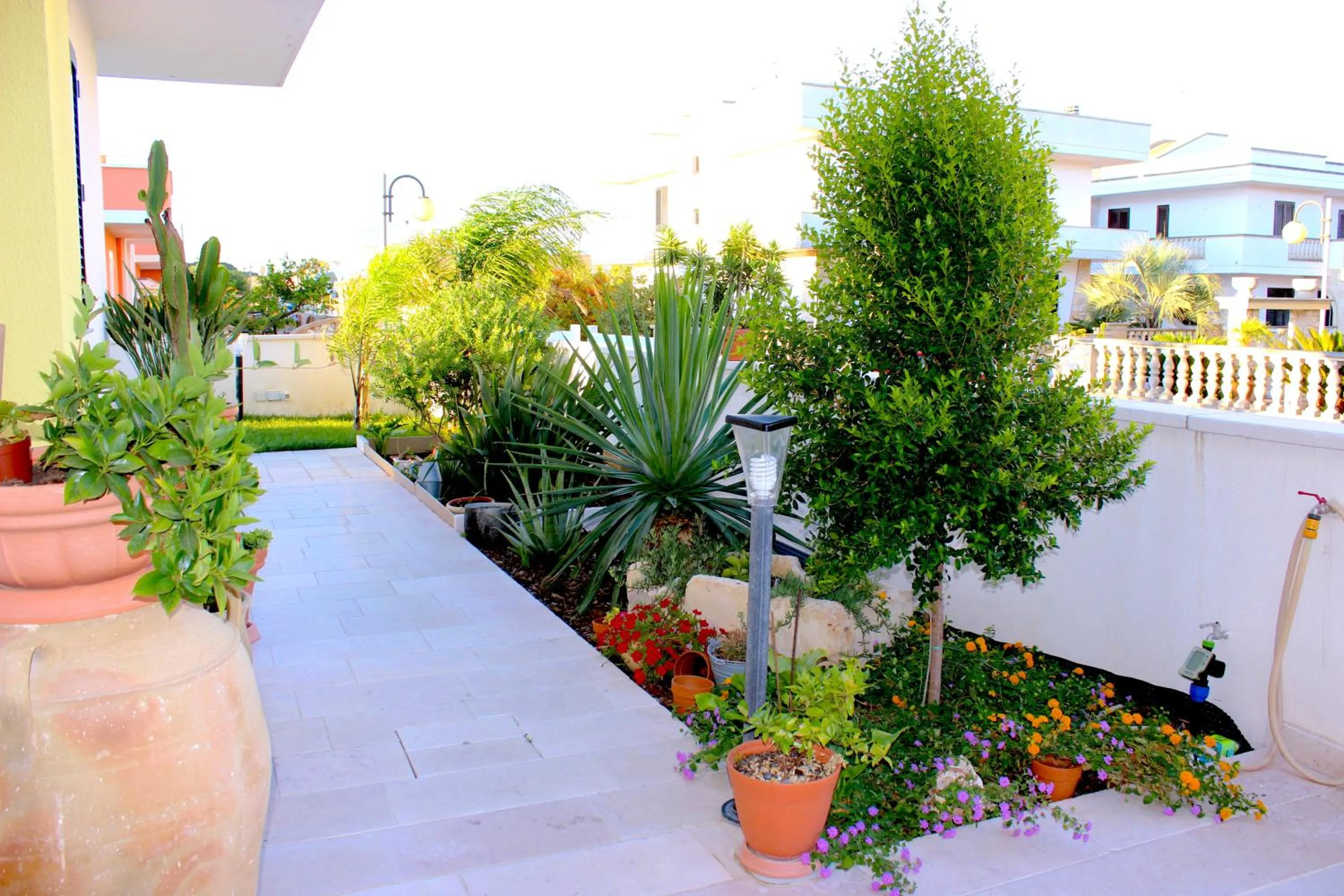 Garden in B&B Barone