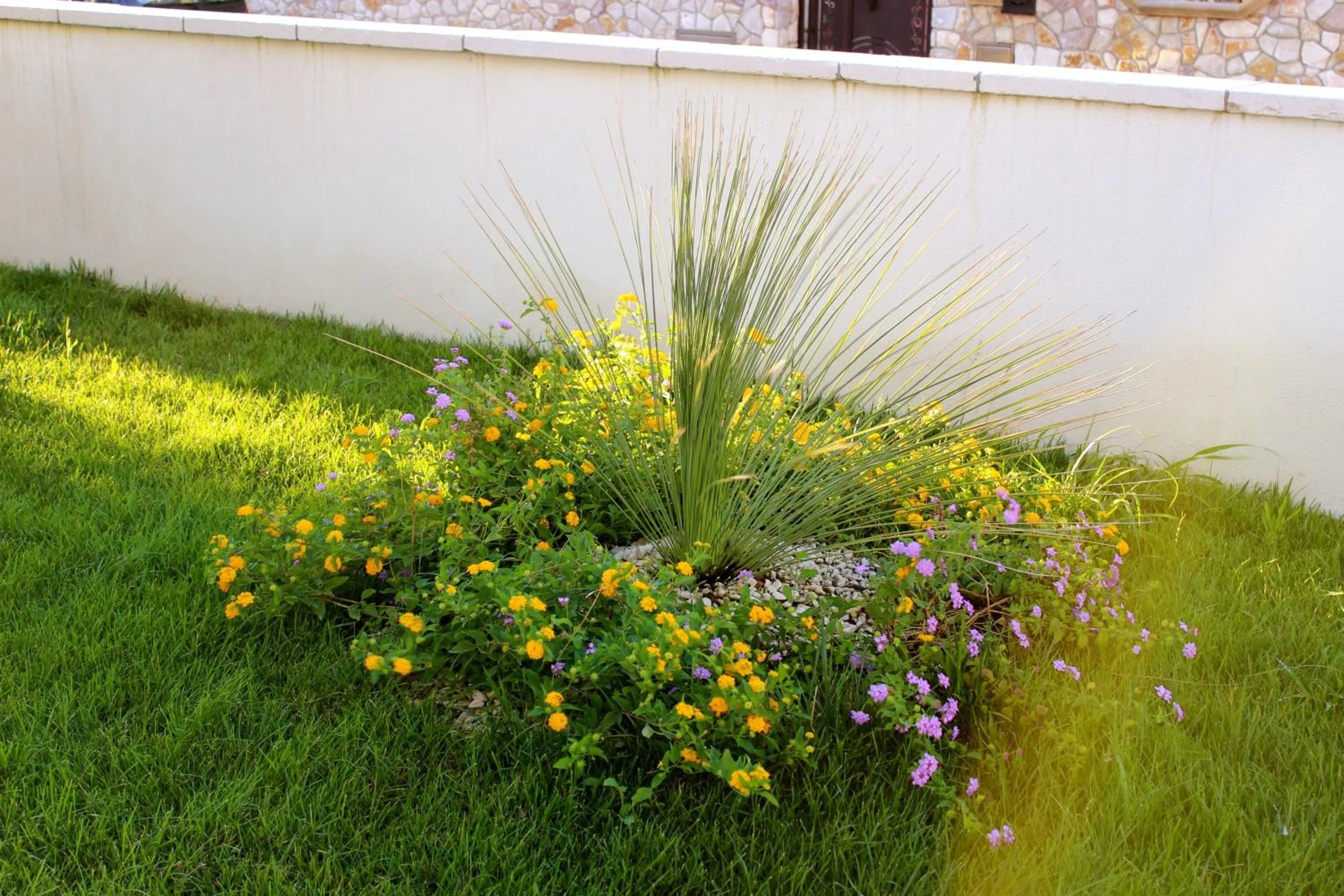 Garden in B&B Barone