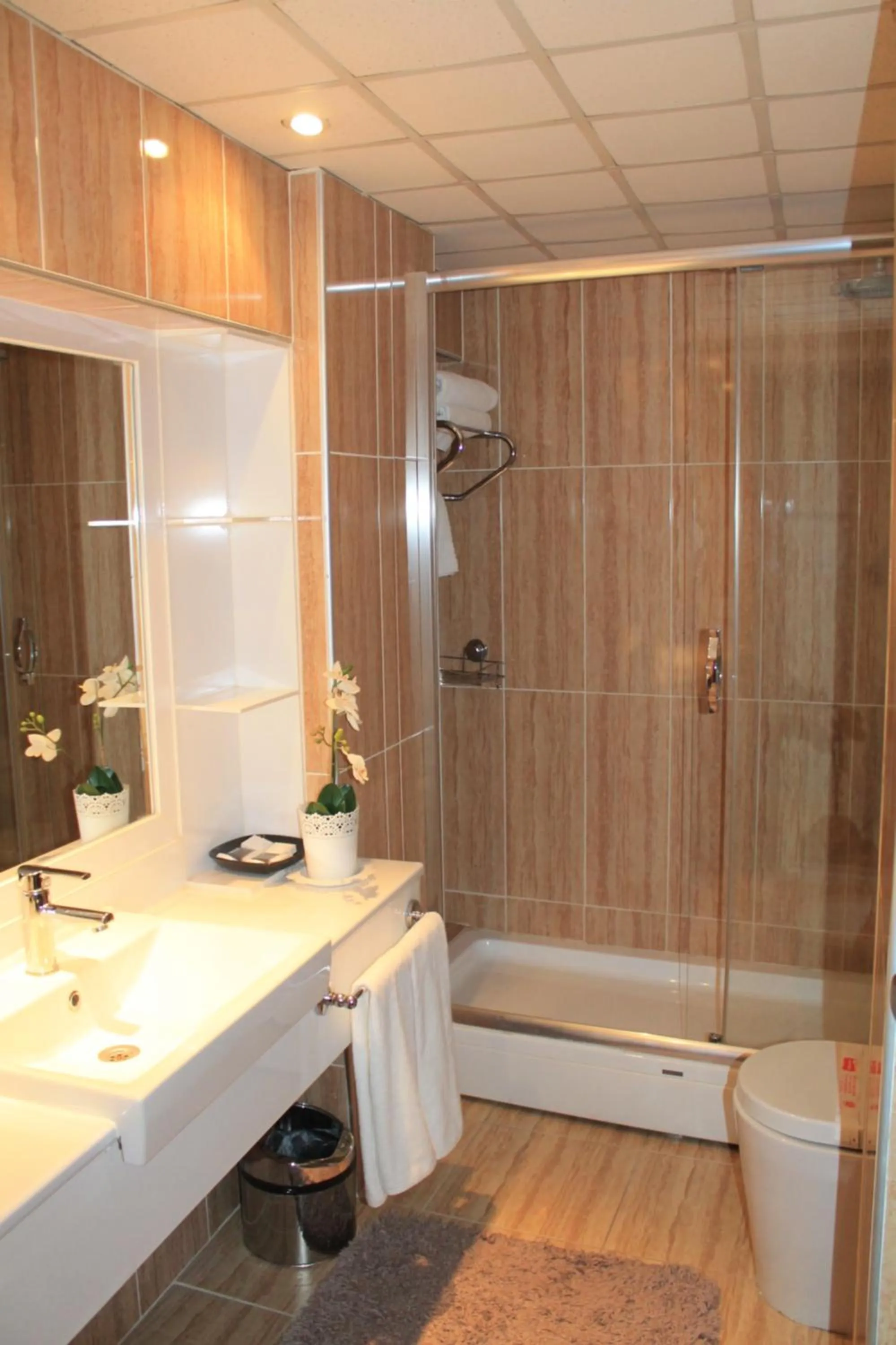 Bathroom in Hotel Buyuk Sahinler