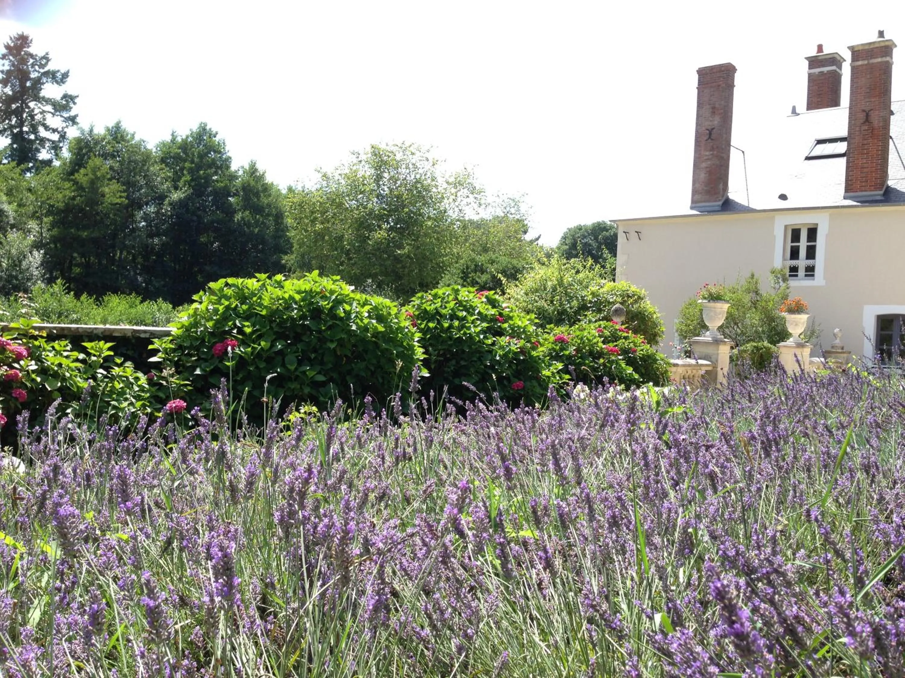 Garden view in Chateau de Moison, Domaine Eco Nature