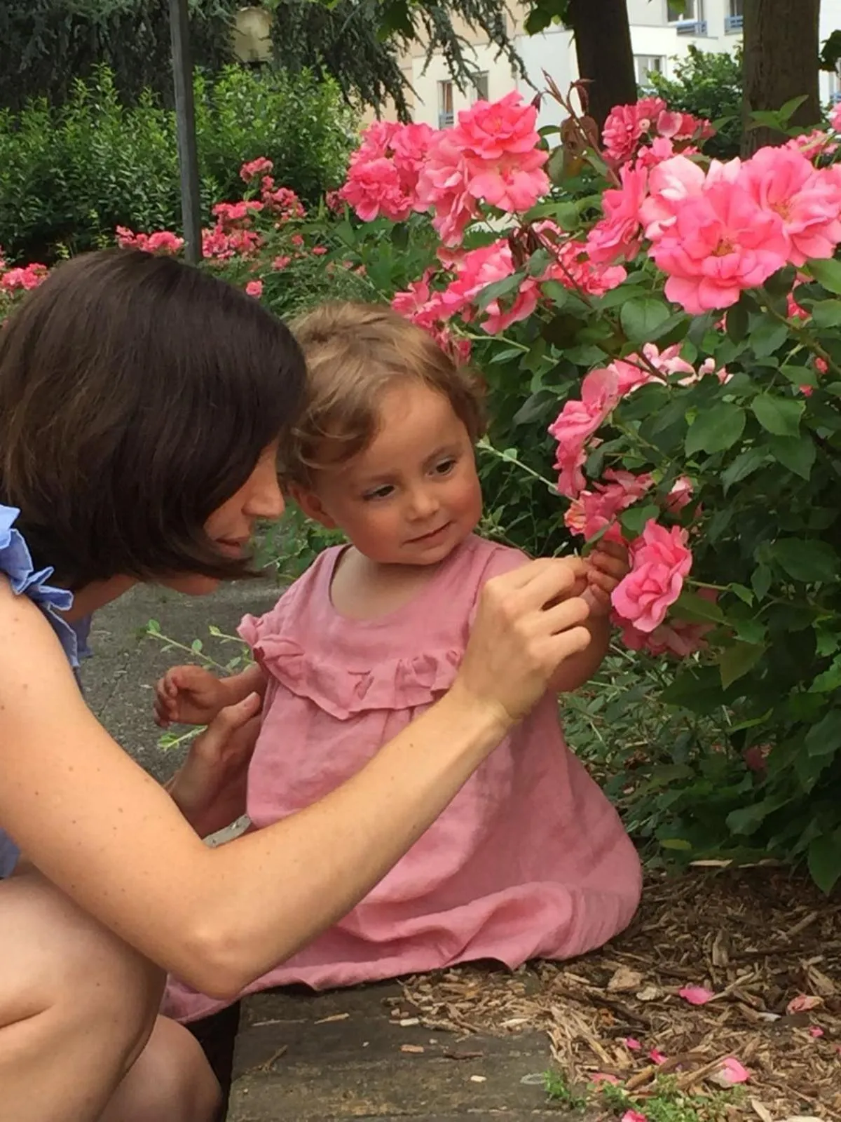 Chateau de Moison, Domaine Eco Nature