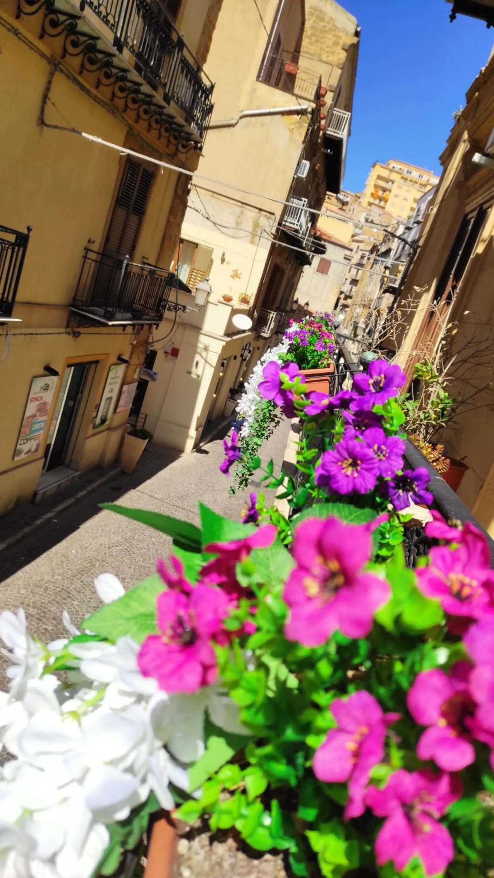 Street view in Hello World