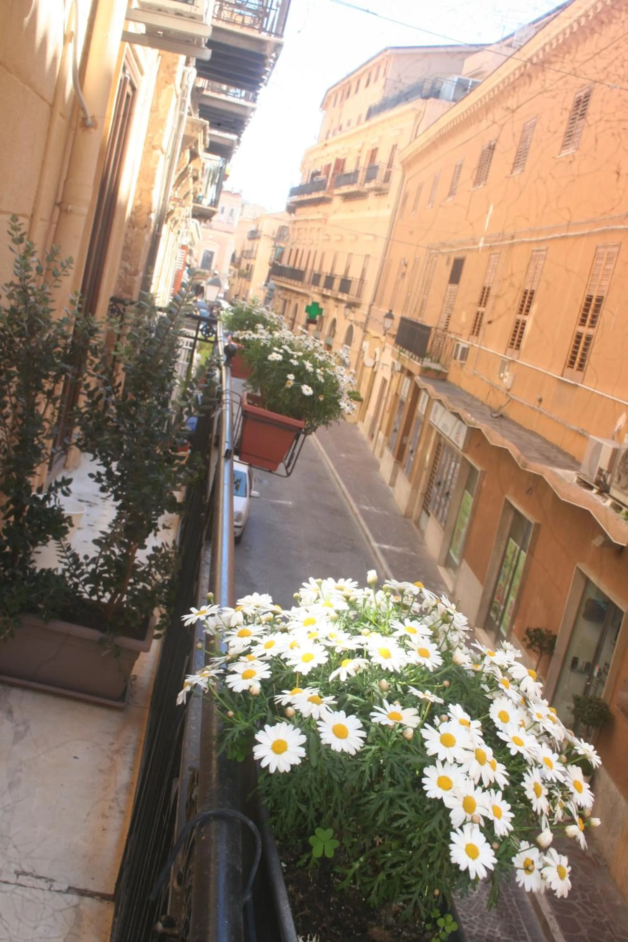 Balcony/Terrace in Hello World