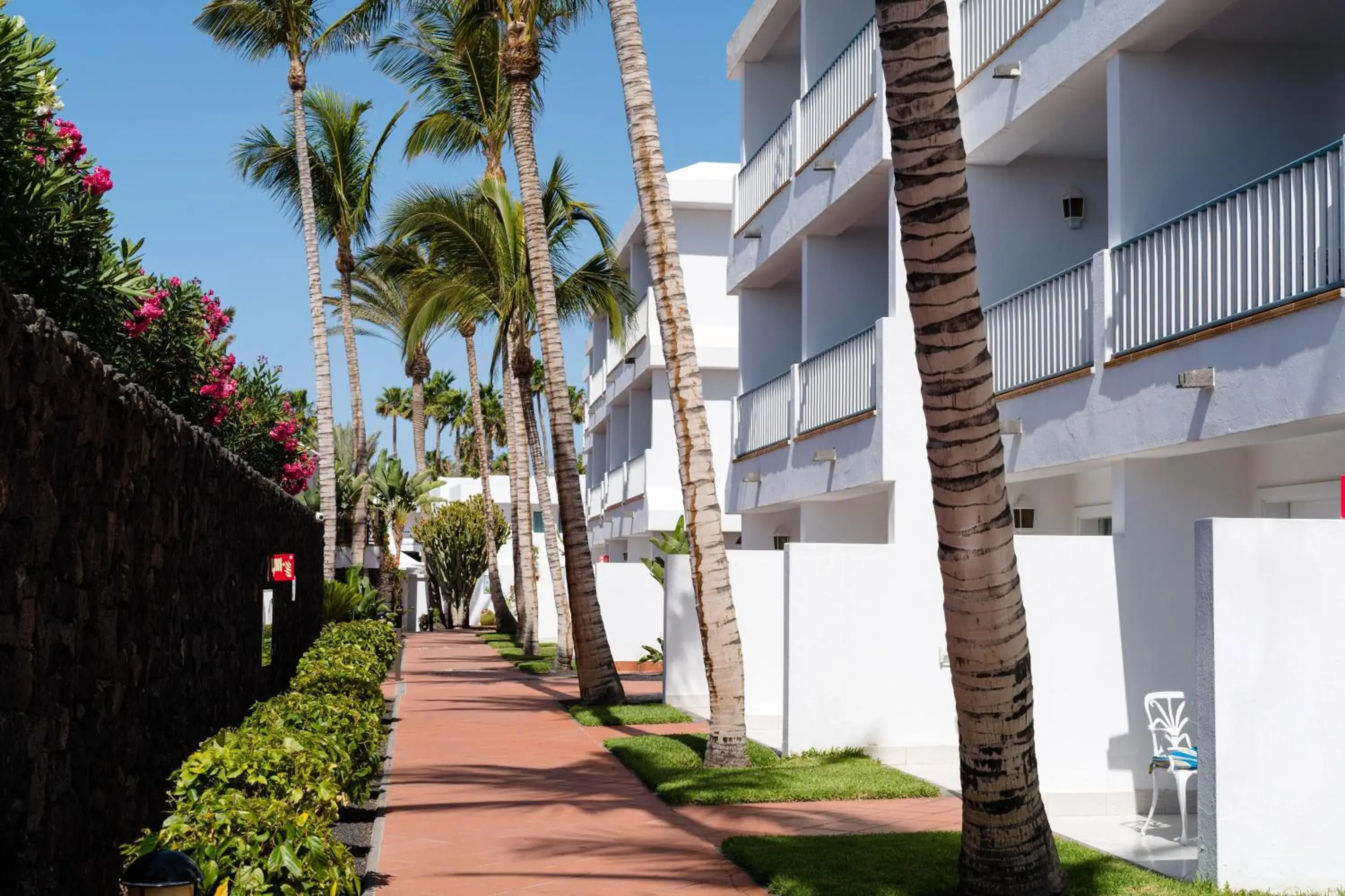 Property building in Plus Fariones Apartamentos Property building in Plus Fariones Apartamentos
