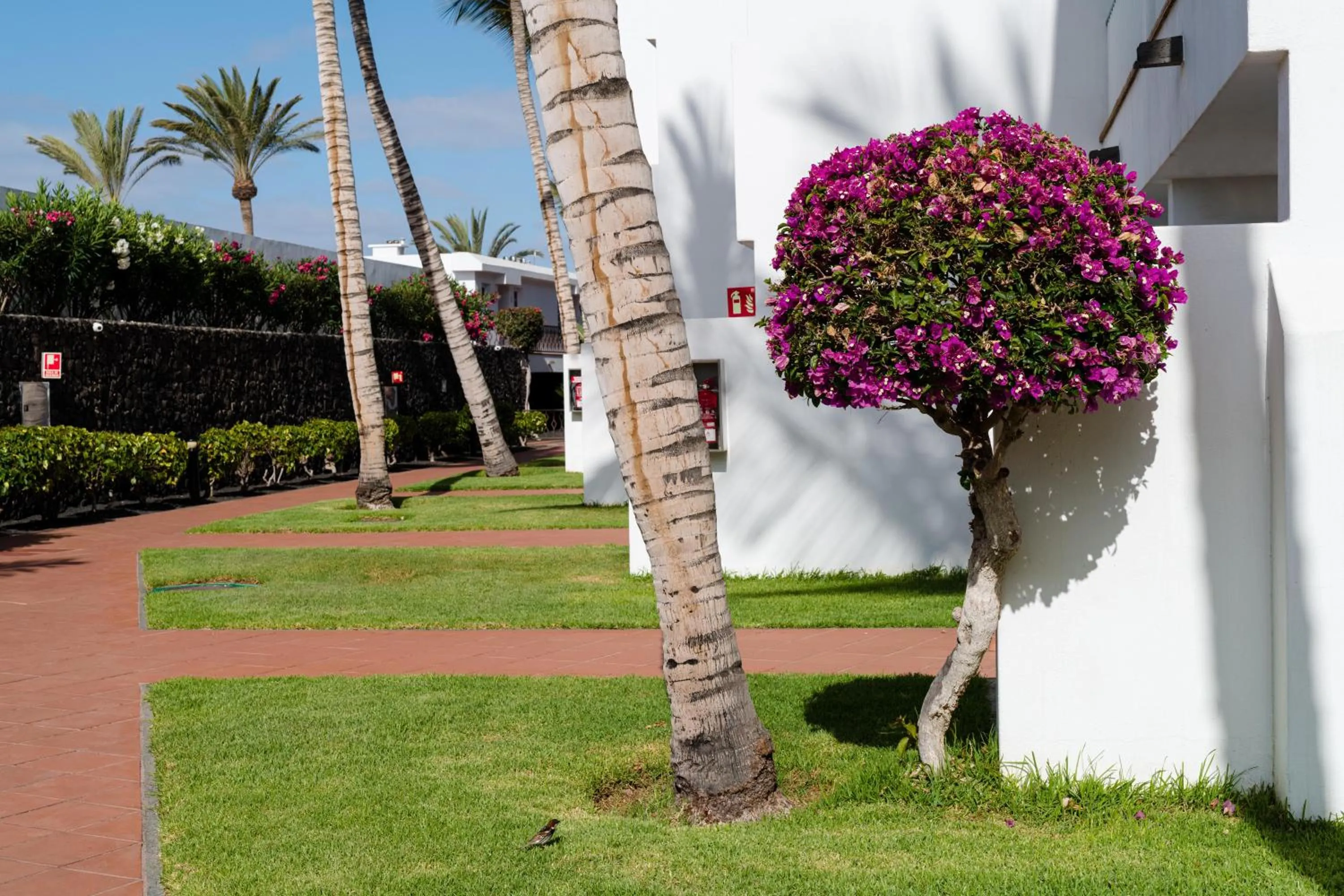 Garden in Plus Fariones Apartamentos