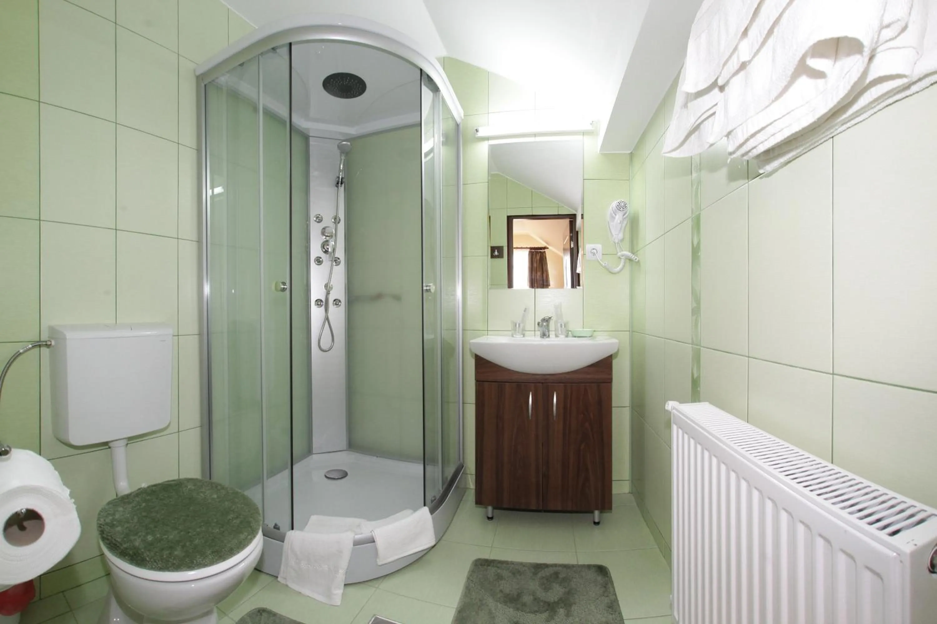 Bathroom in Pensiunea Muresul