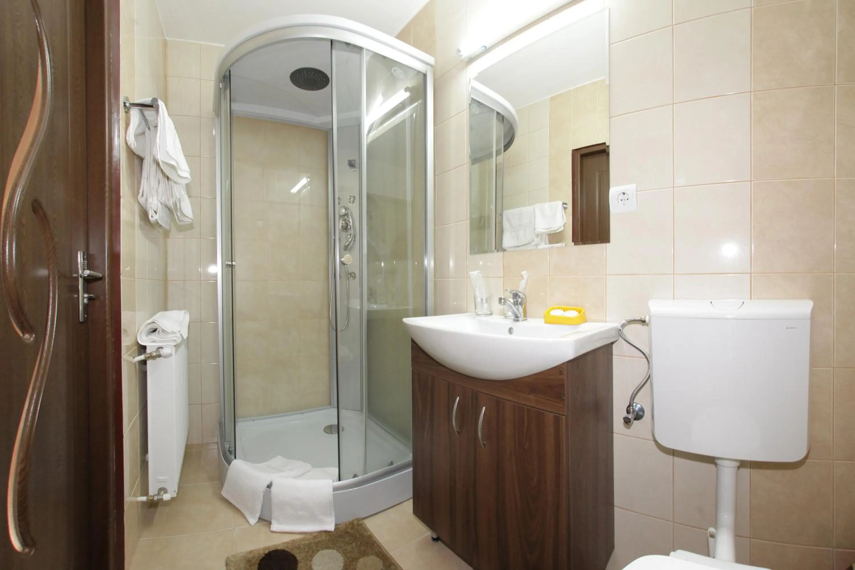 Bathroom in Pensiunea Muresul