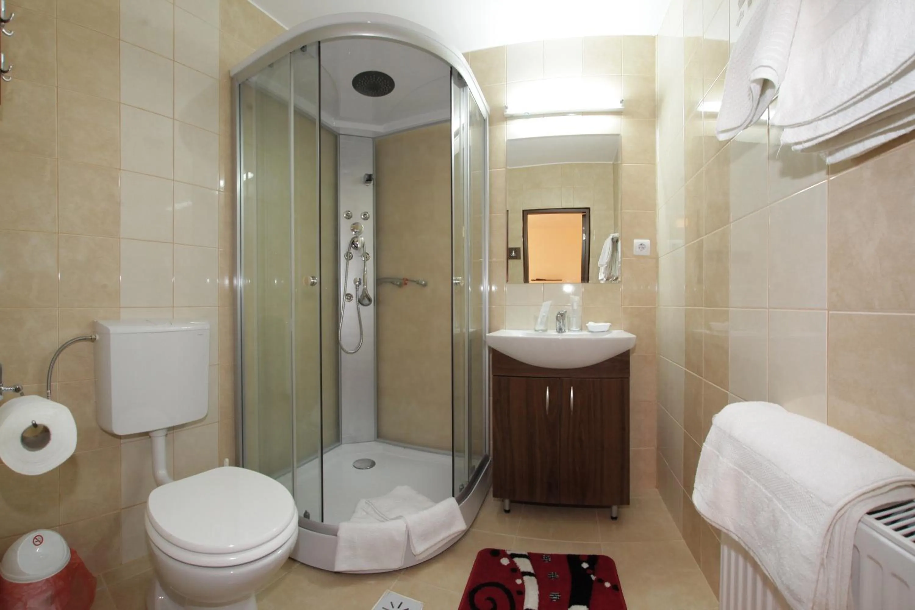 Bathroom in Pensiunea Muresul