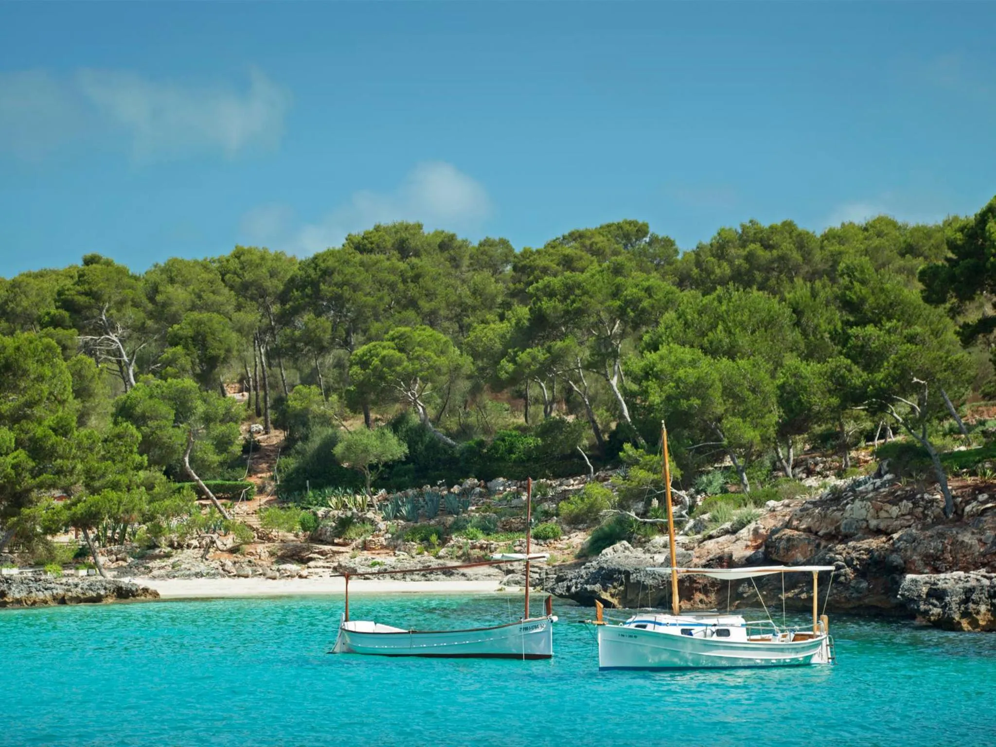 Area and facilities in Inturotel Cala Esmeralda Beach Hotel & Spa - Adults Only