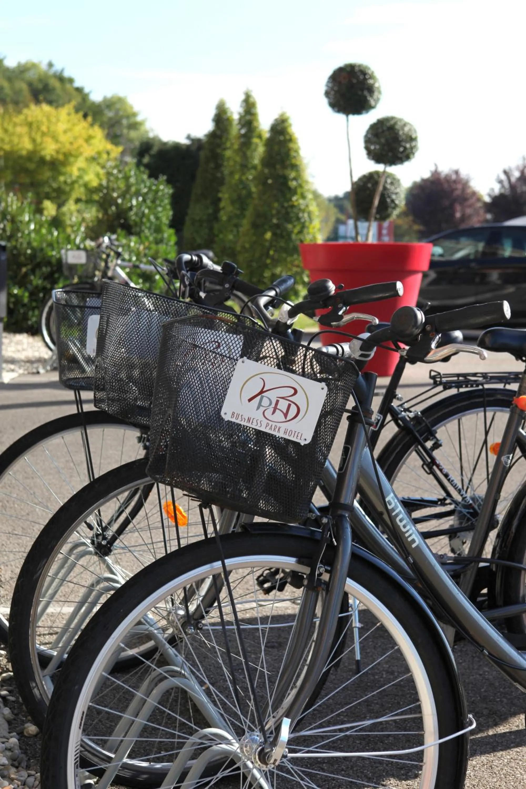 Activities in Best Western Park Hotel Geneve-Thoiry