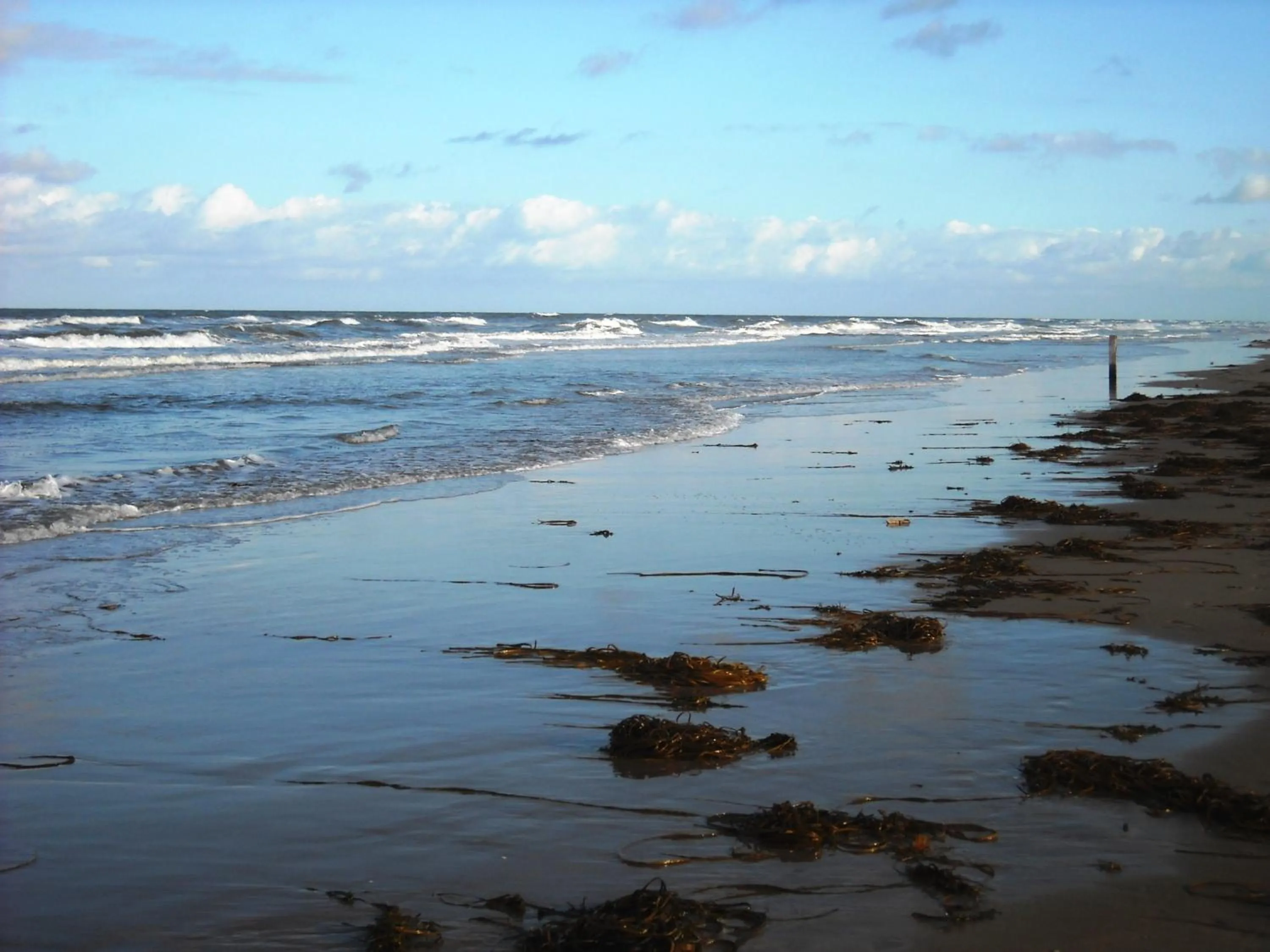 Beach in Hotel De Waag