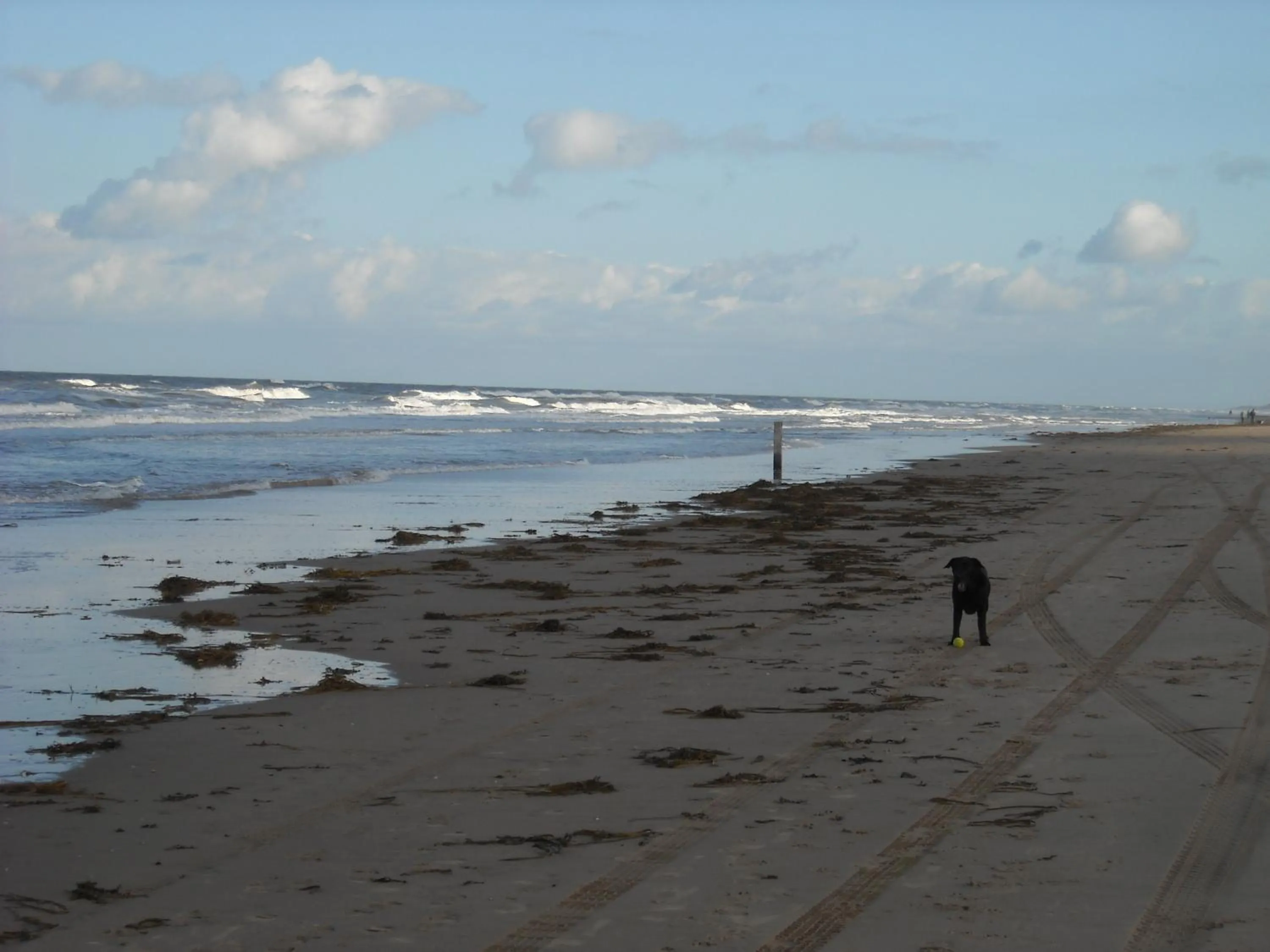 Beach in Hotel De Waag