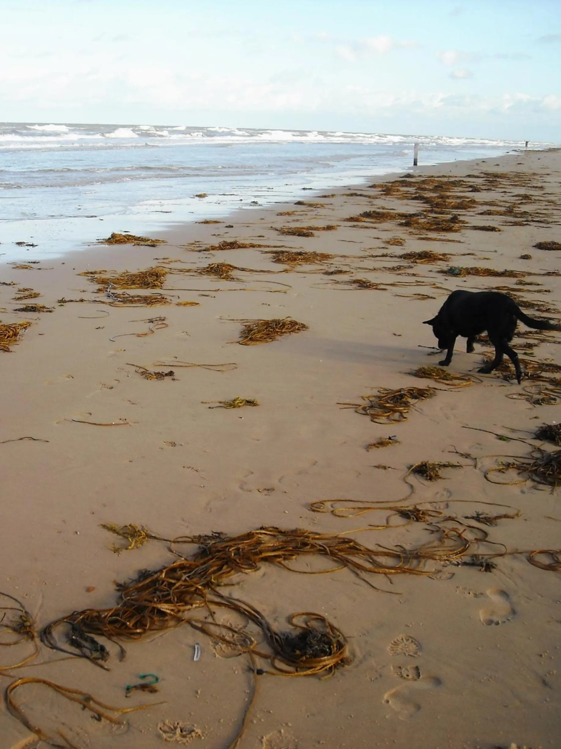 Beach in Hotel De Waag