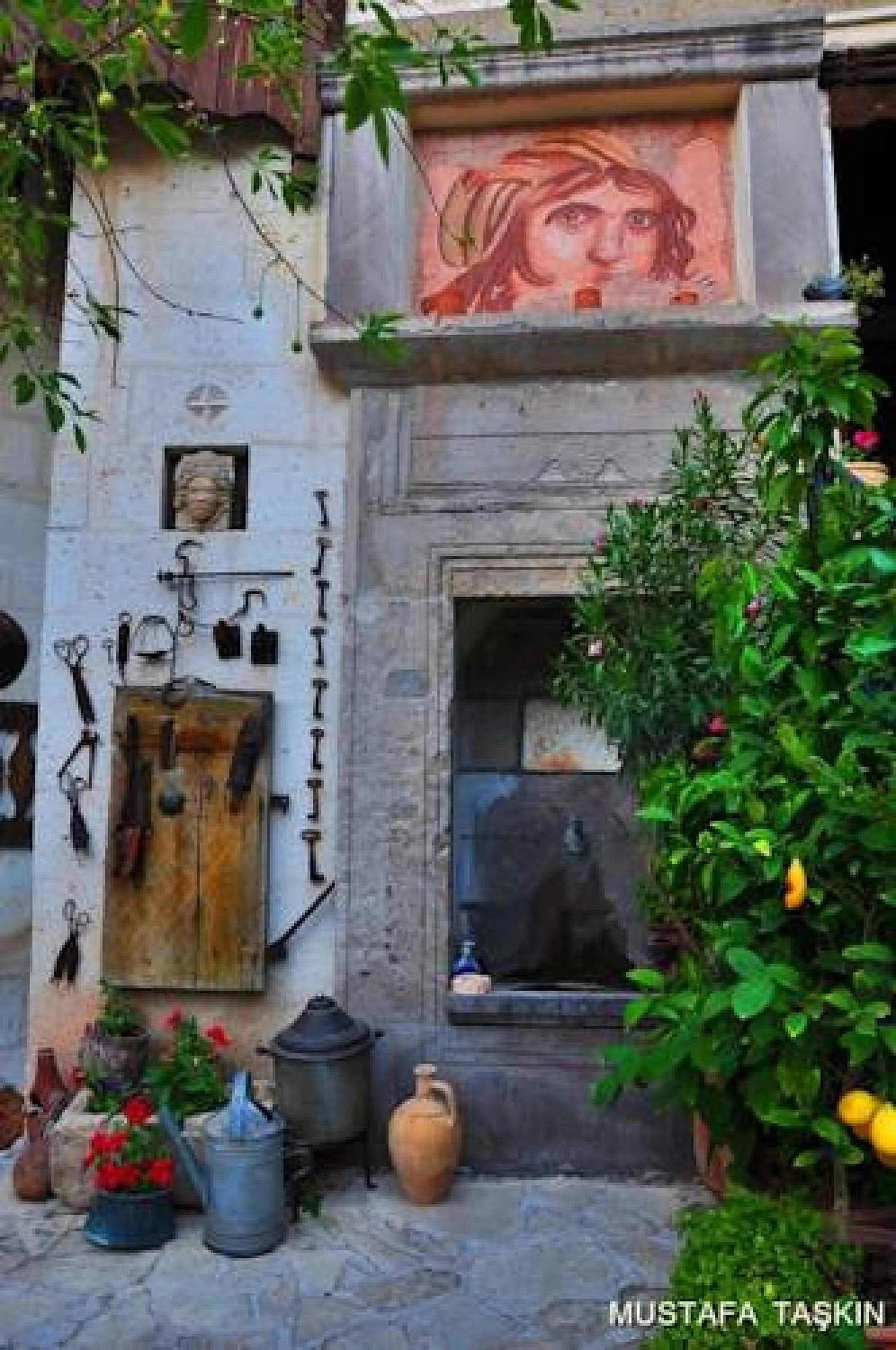 Garden in Sofa Hotel