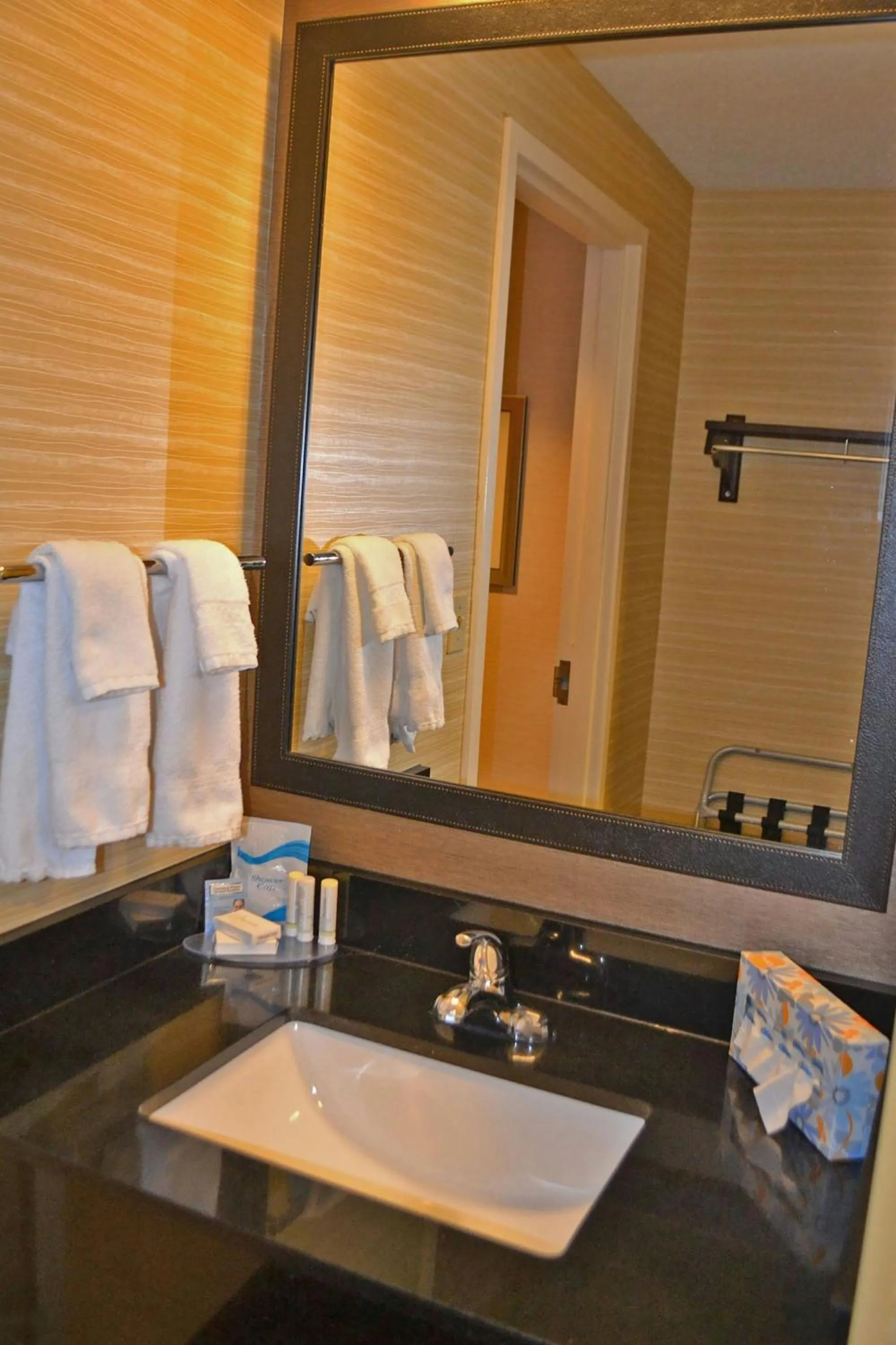 Bathroom in Fairfield Inn & Suites by Marriott Denver Aurora/Medical Center